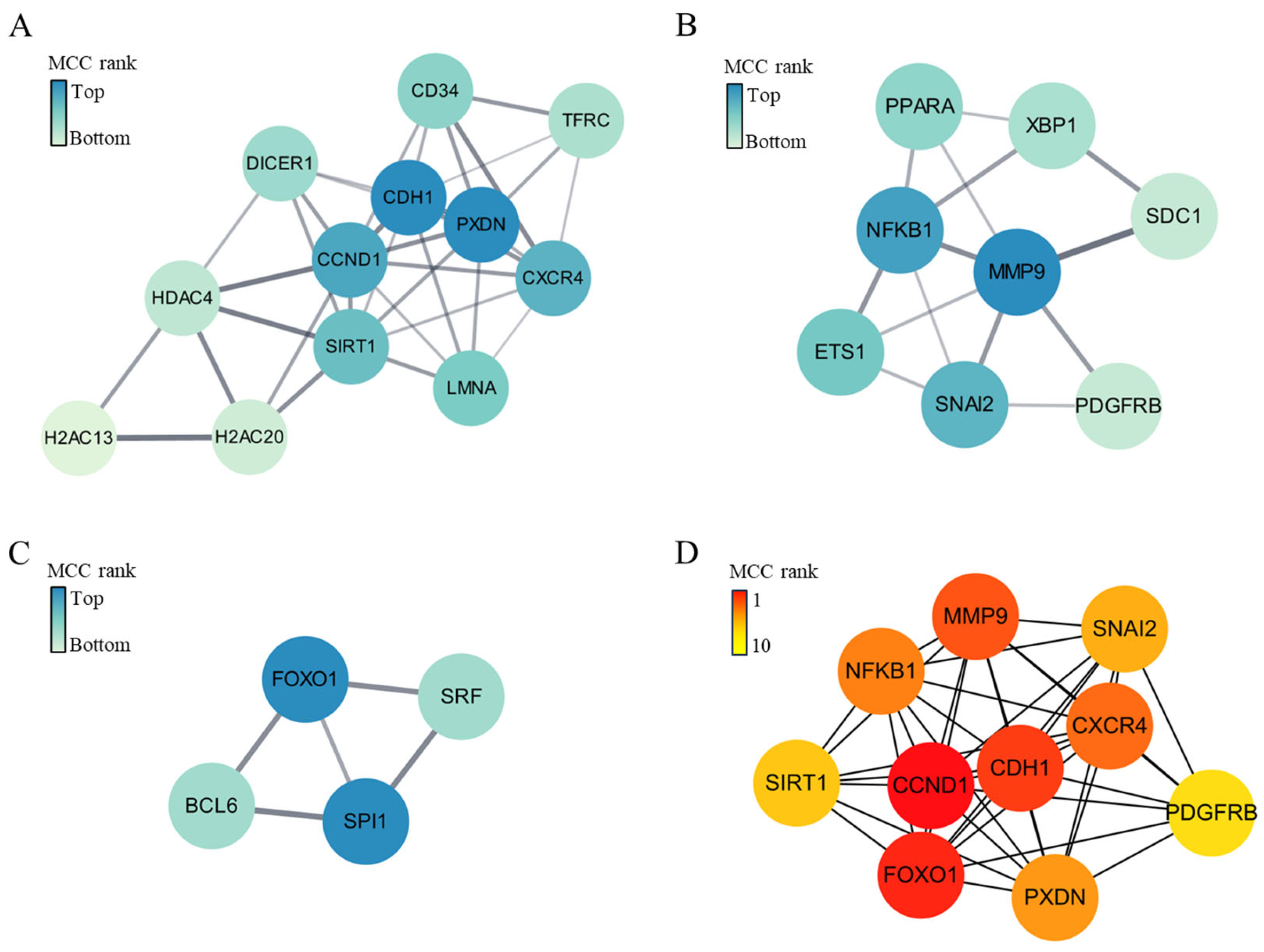 Ijms 25 10223 g006 Ijms 25 10223 g006