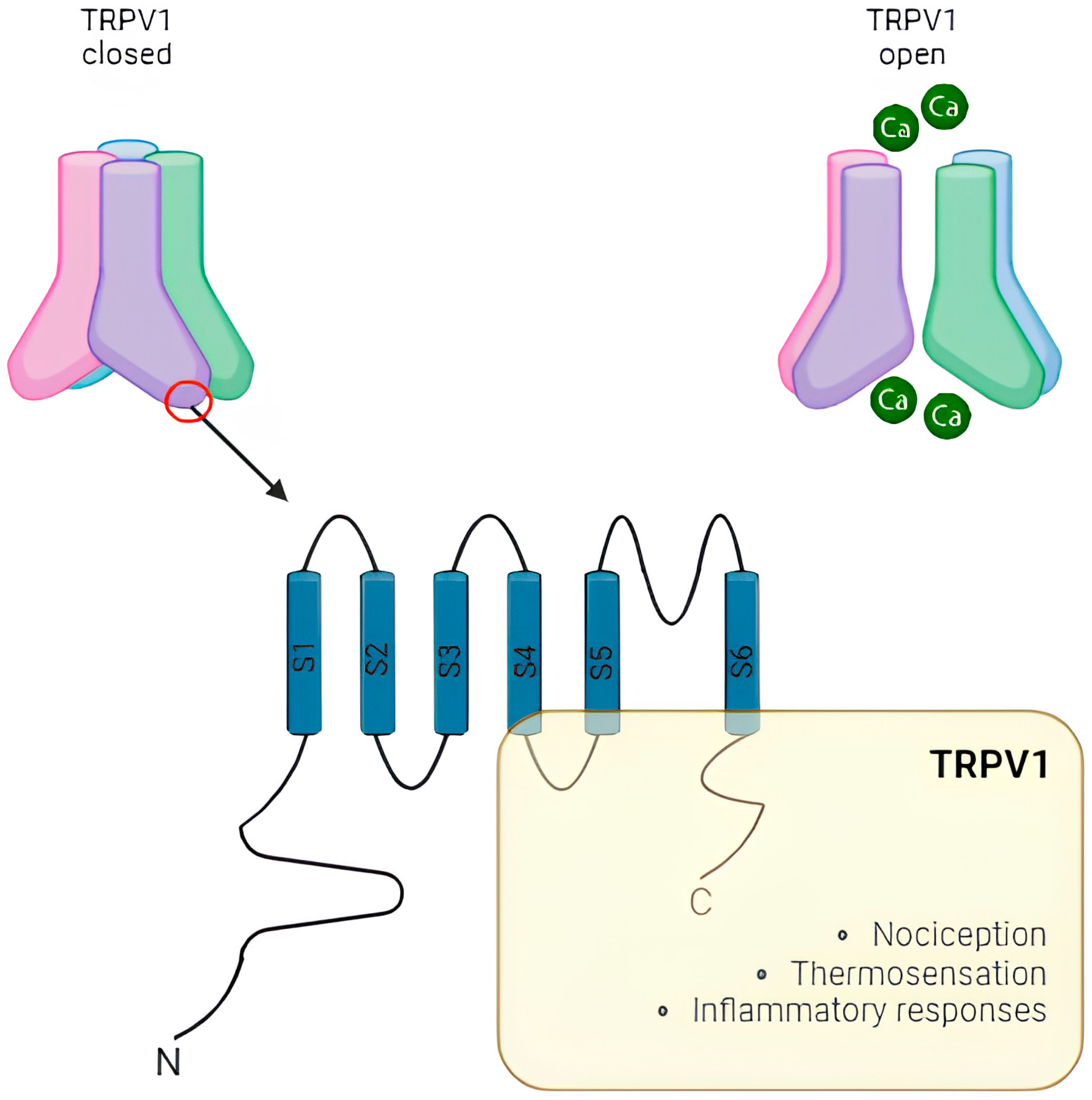 Ijms 25 10234 g002 Ijms 25 10234 g002