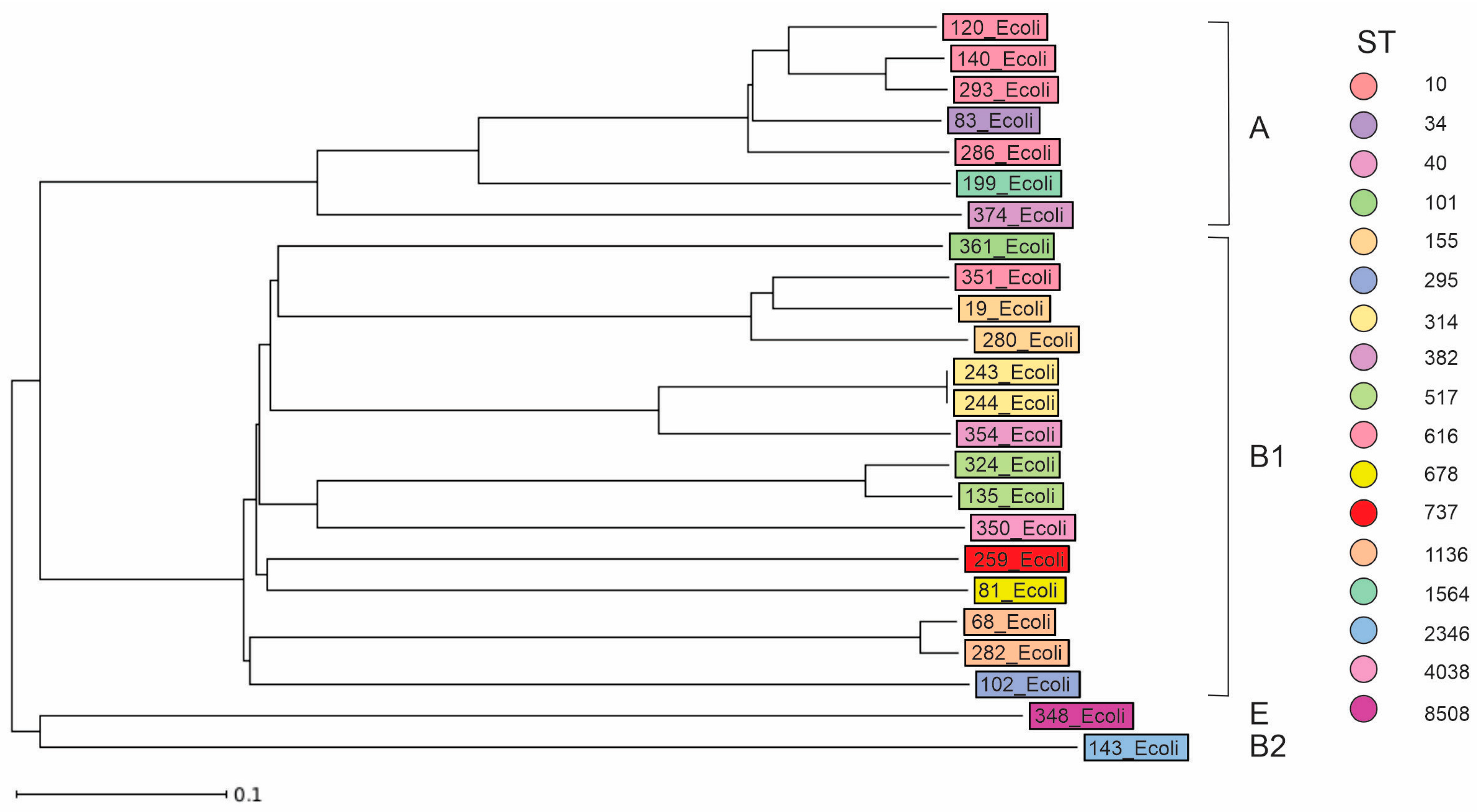 Ijms 25 10251 g001 Ijms 25 10251 g001