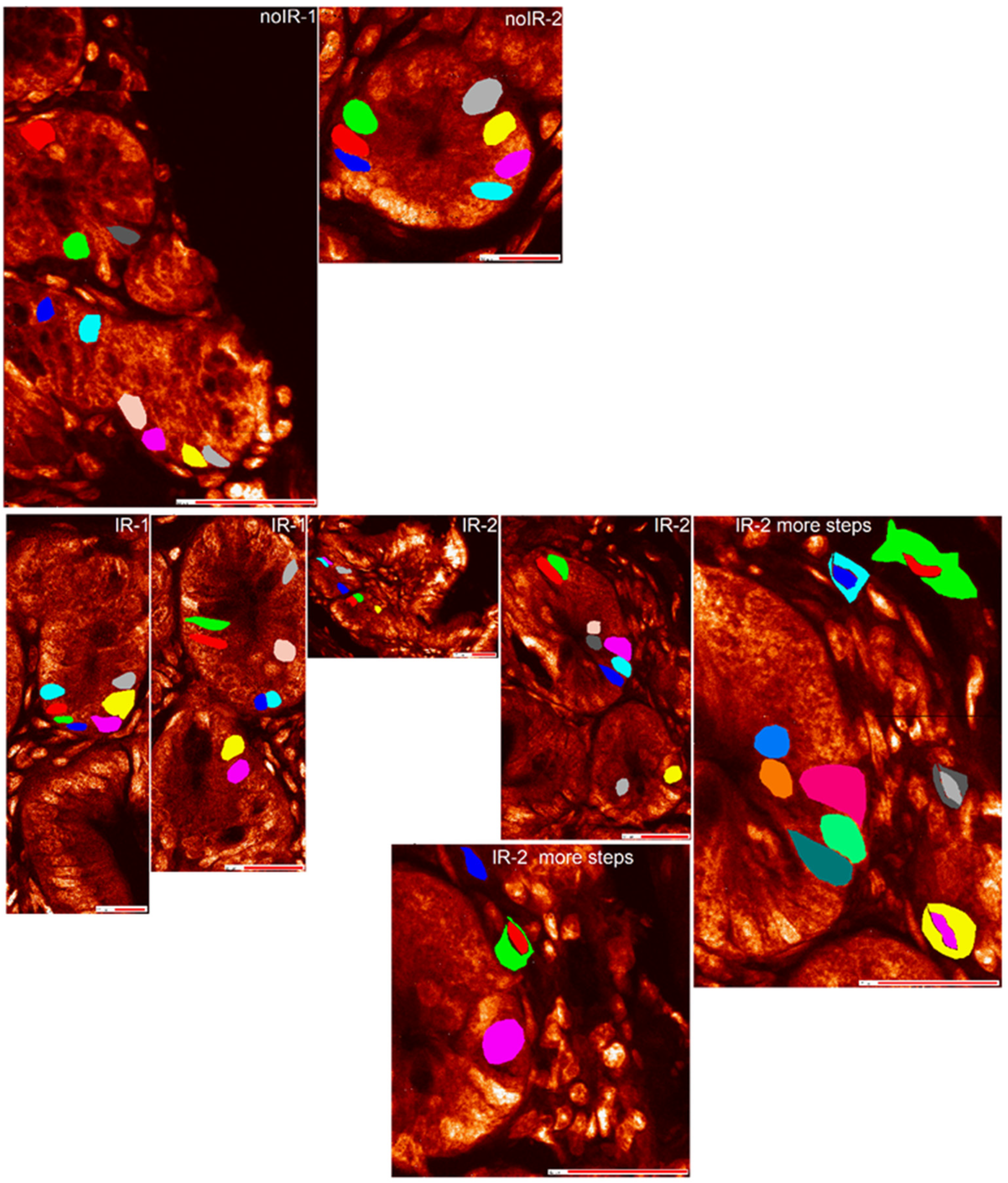 Ijms 25 10256 g004 Ijms 25 10256 g004