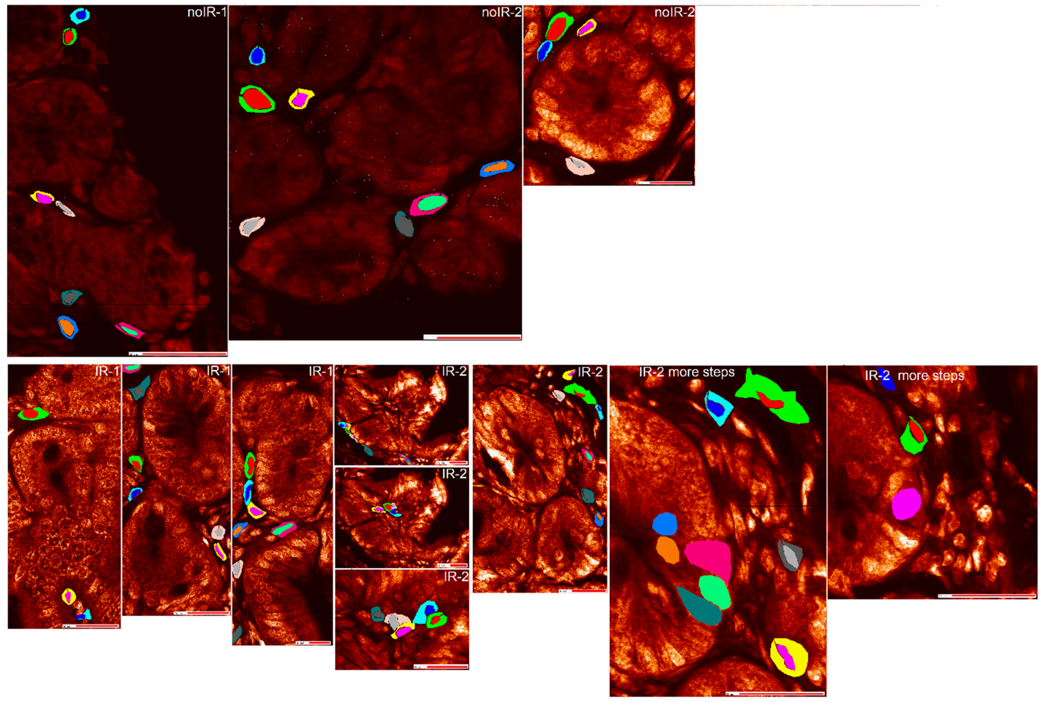 Ijms 25 10256 g005 Ijms 25 10256 g005