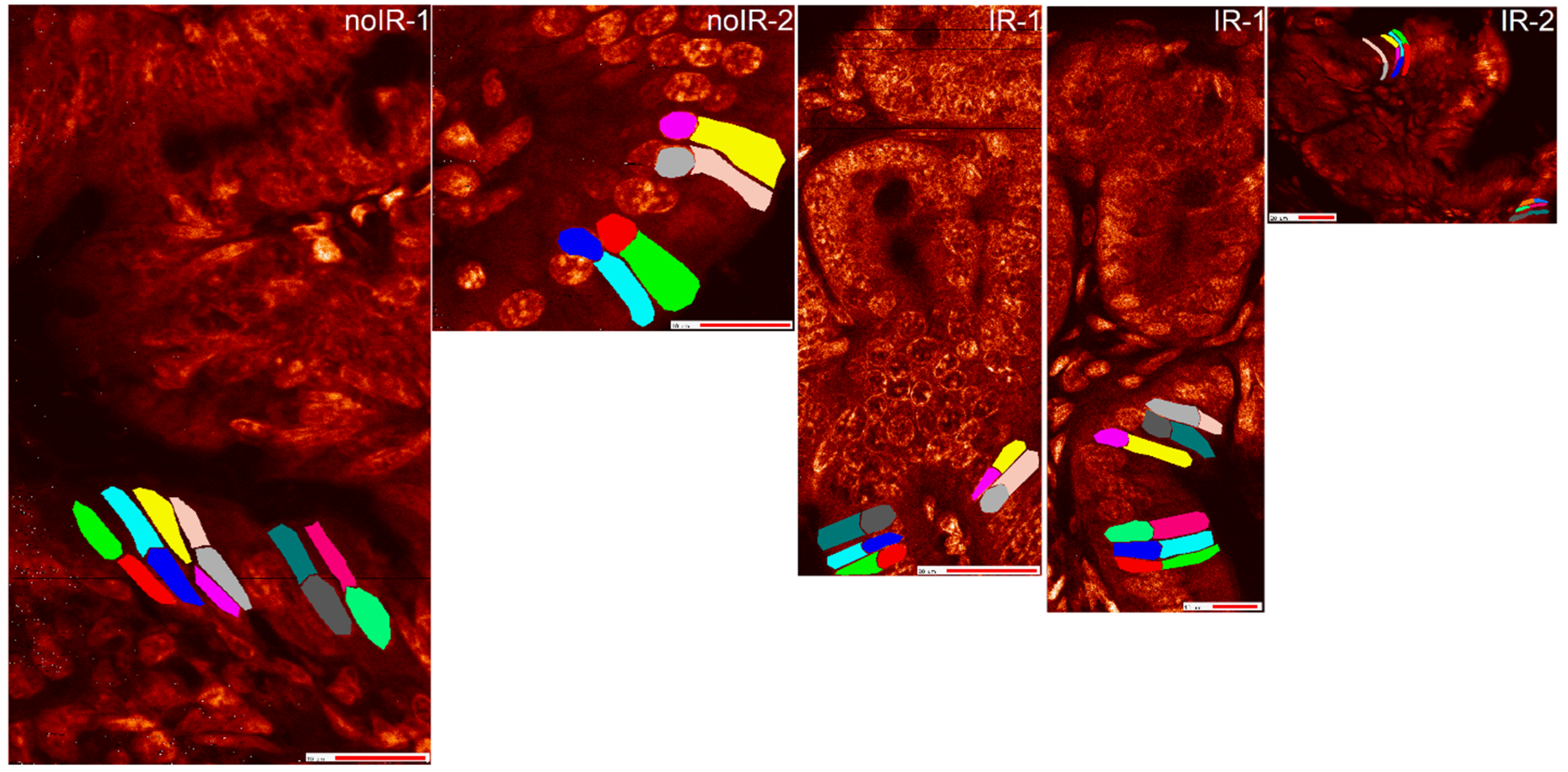 Ijms 25 10256 g006 Ijms 25 10256 g006