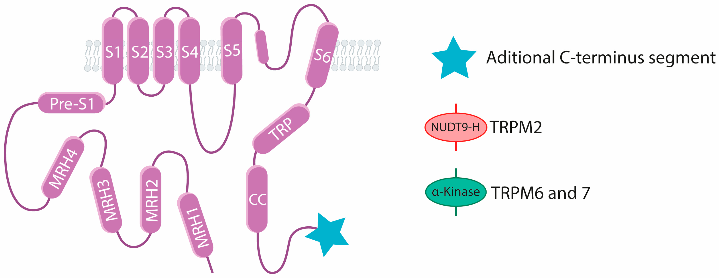Ijms 25 10284 g001 Ijms 25 10284 g001