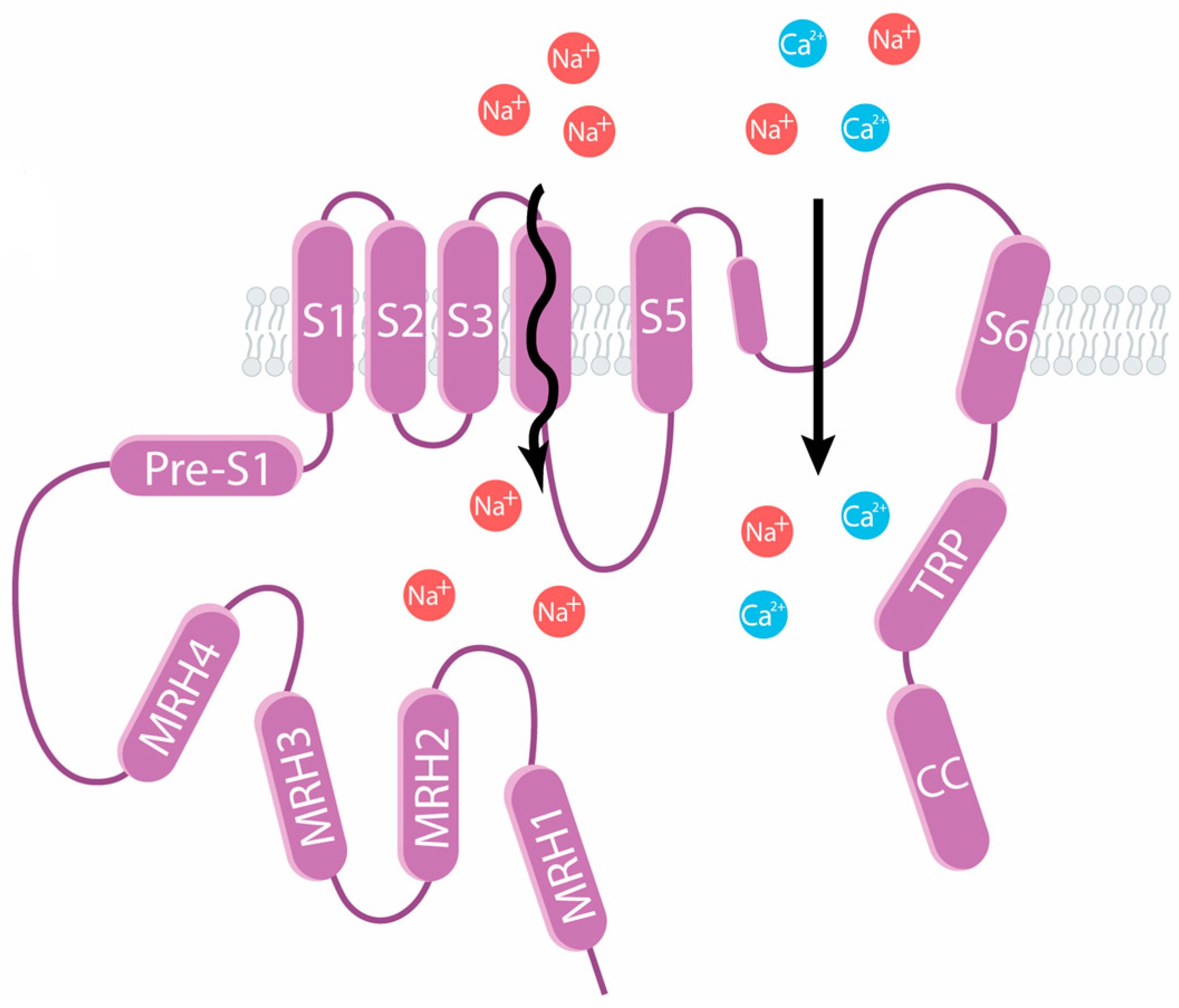 Ijms 25 10284 g003 Ijms 25 10284 g003