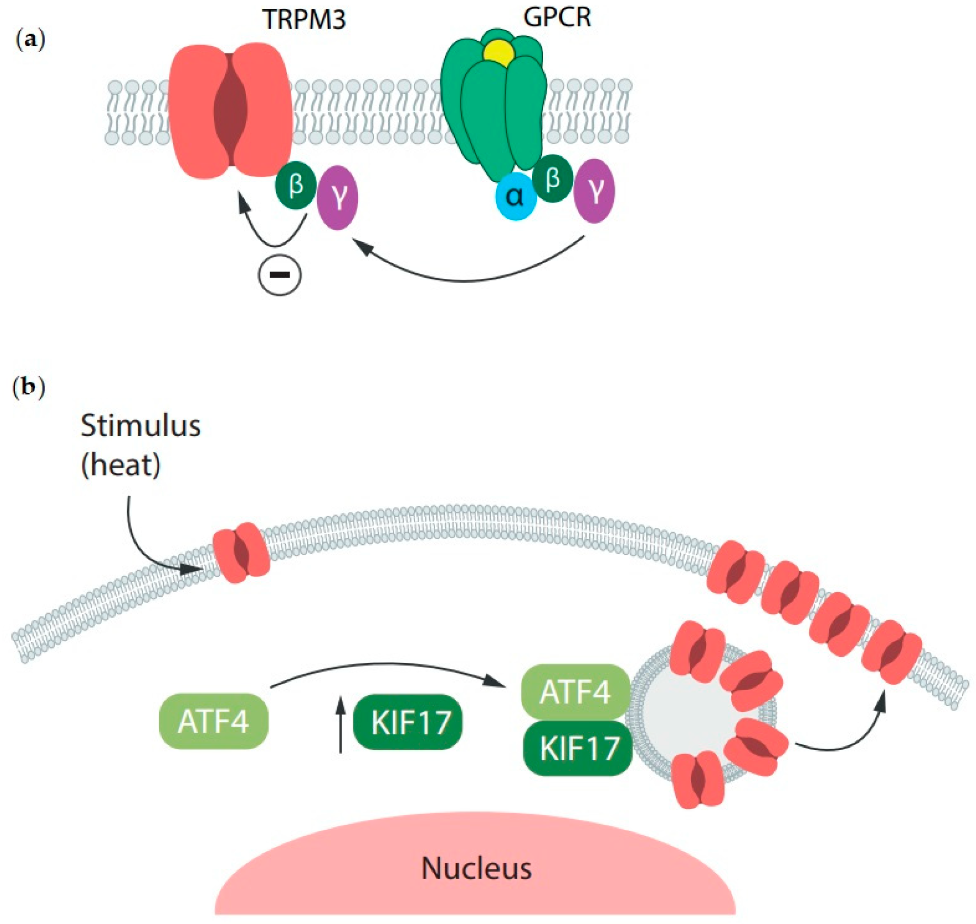 Ijms 25 10284 g004 Ijms 25 10284 g004