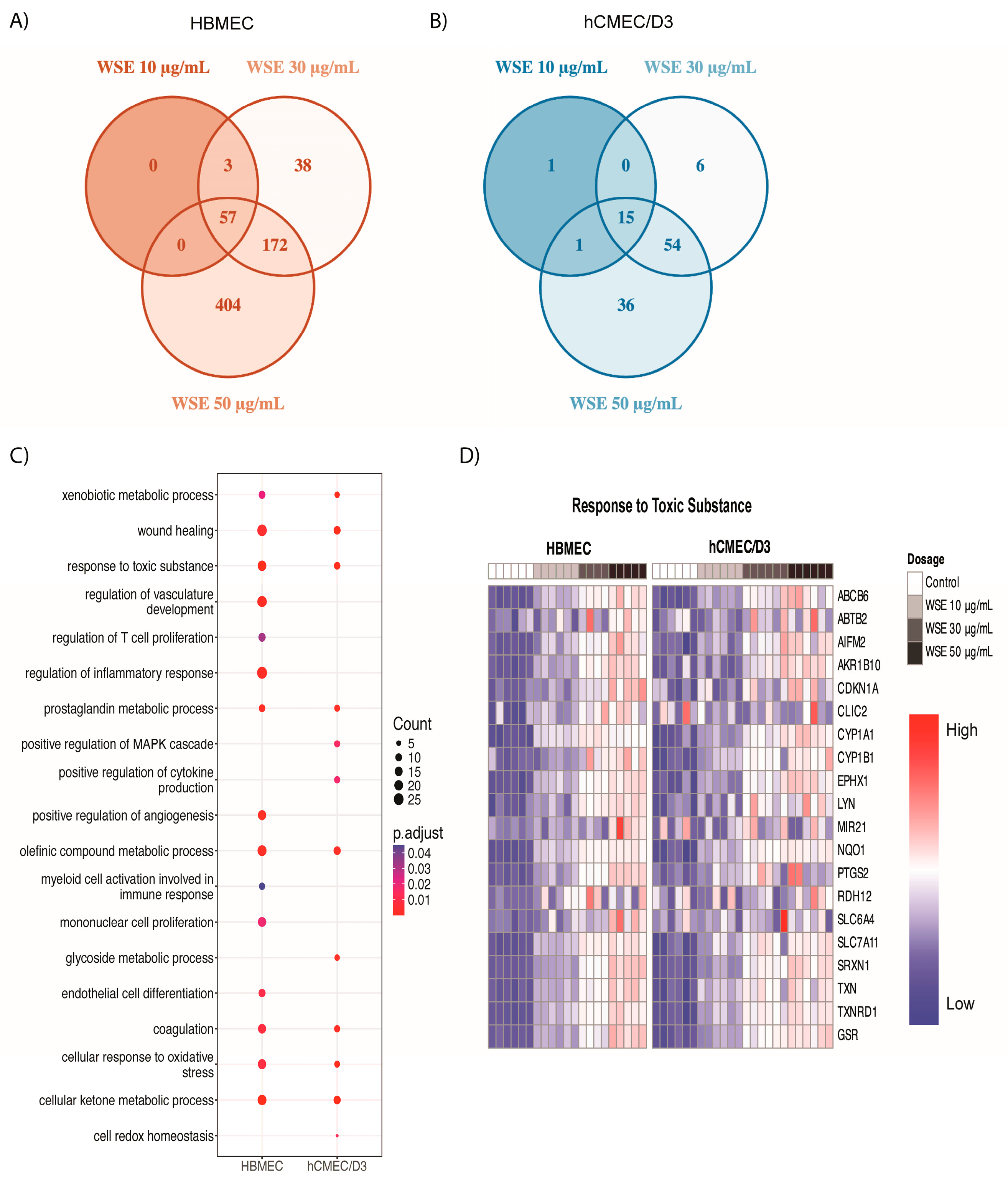 Ijms 25 10288 g003 Ijms 25 10288 g003