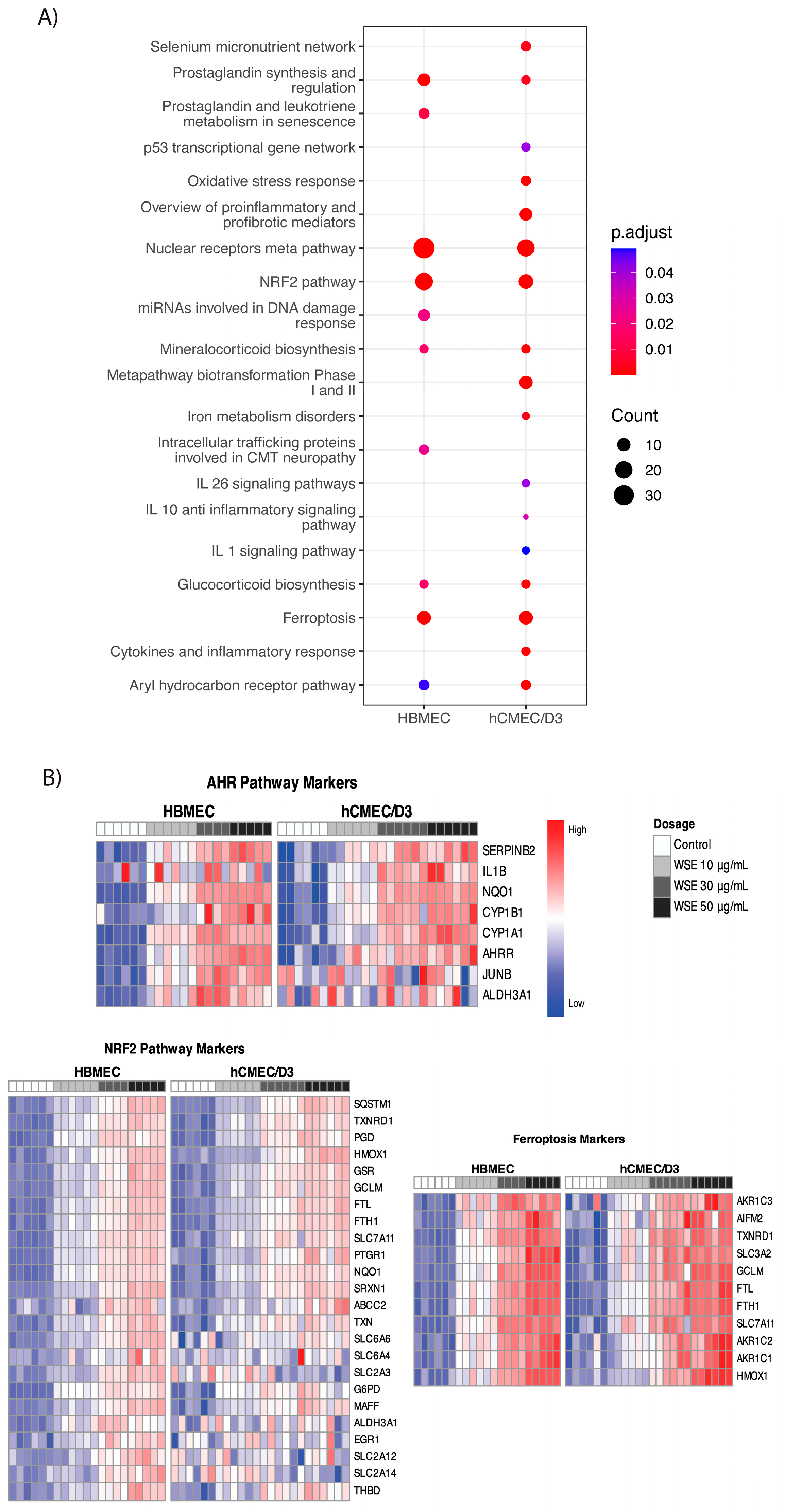 Ijms 25 10288 g004 Ijms 25 10288 g004
