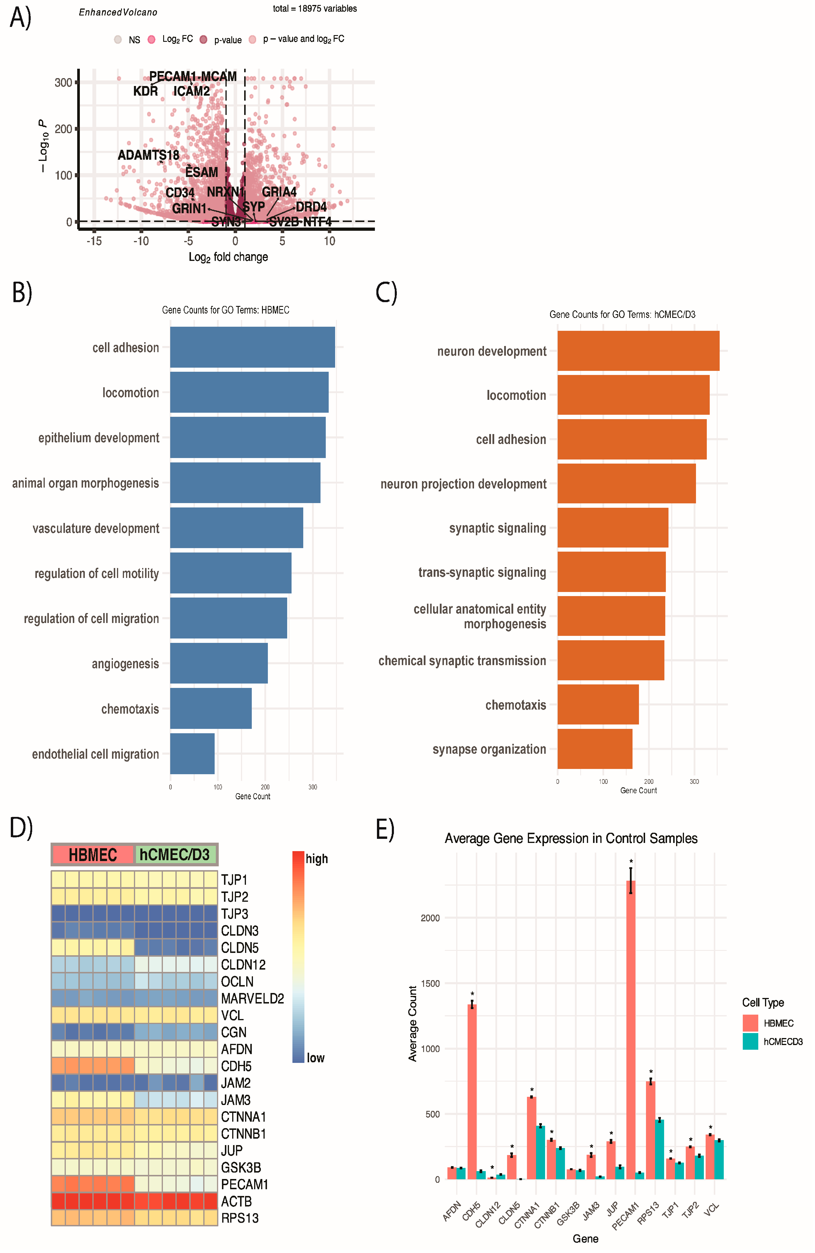 Ijms 25 10288 g006 Ijms 25 10288 g006