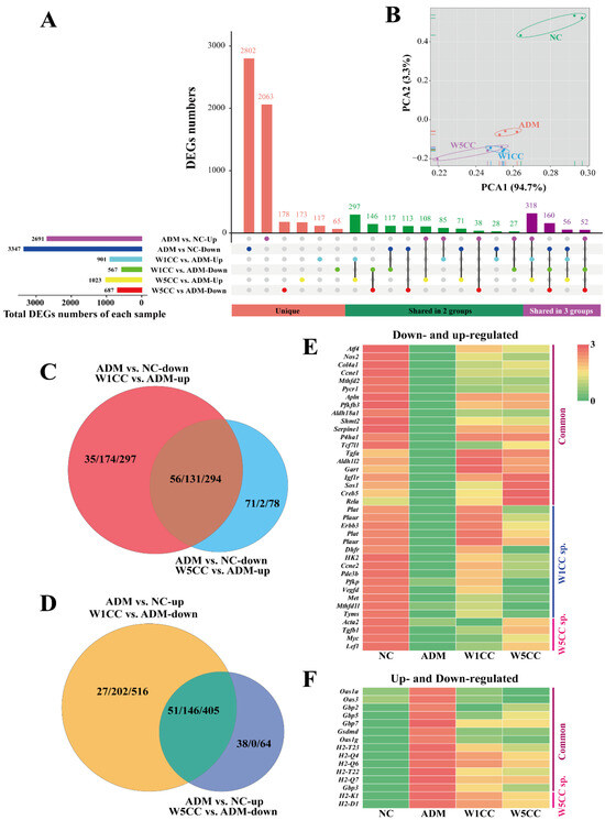 Tom RNA-Seq-Based Transcriptome Analysis of Chinese Cordyceps