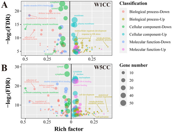 RNA-Seq-Based Transcriptome Analysis of Chinese Cordyceps