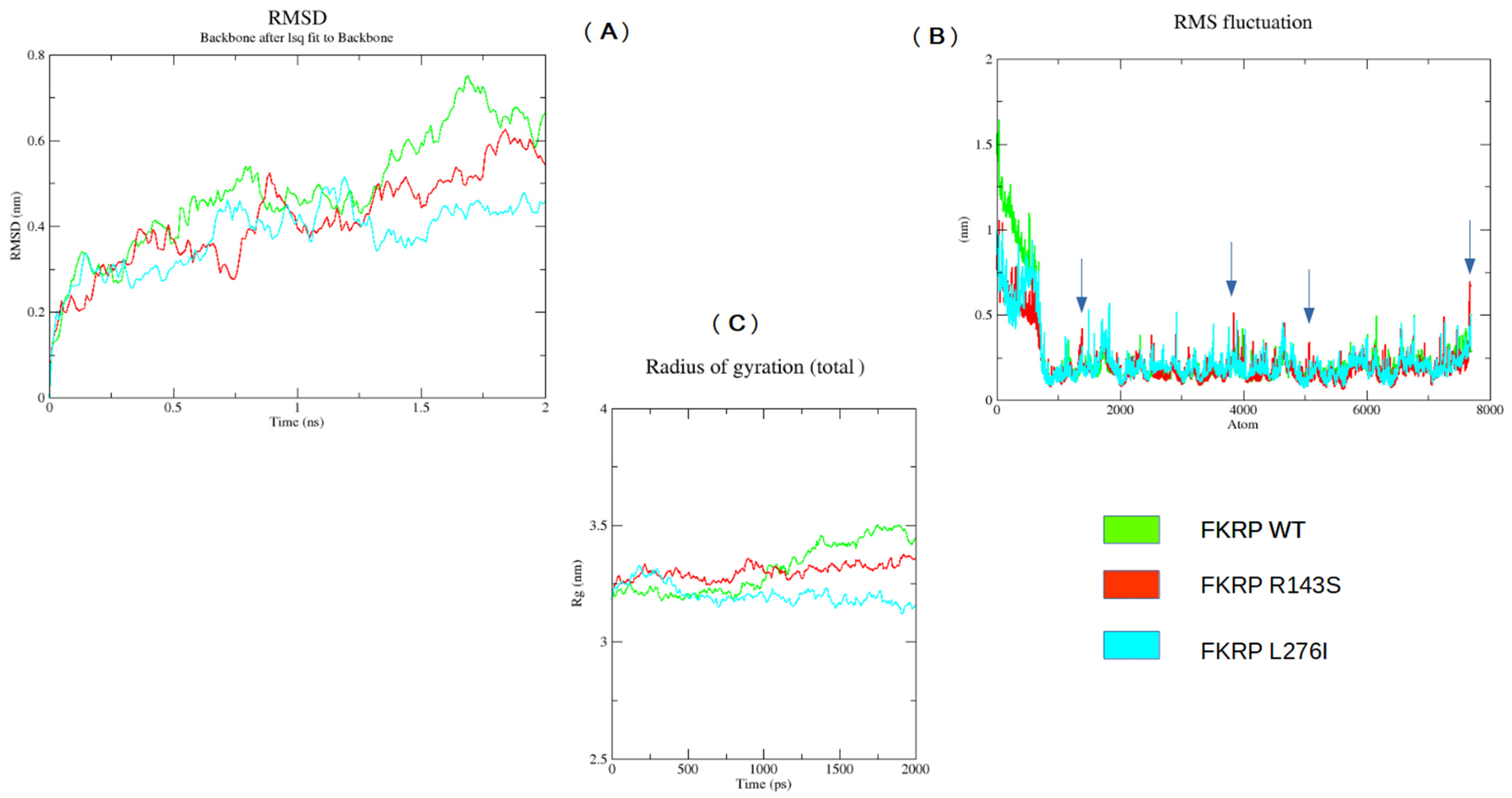 Ijms 25 10356 g005 Ijms 25 10356 g005