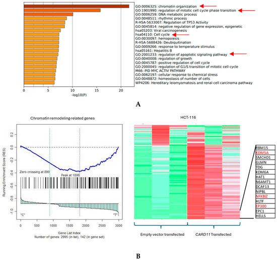Transcriptome Profiling Associated with CARD11 Overexpression in ...