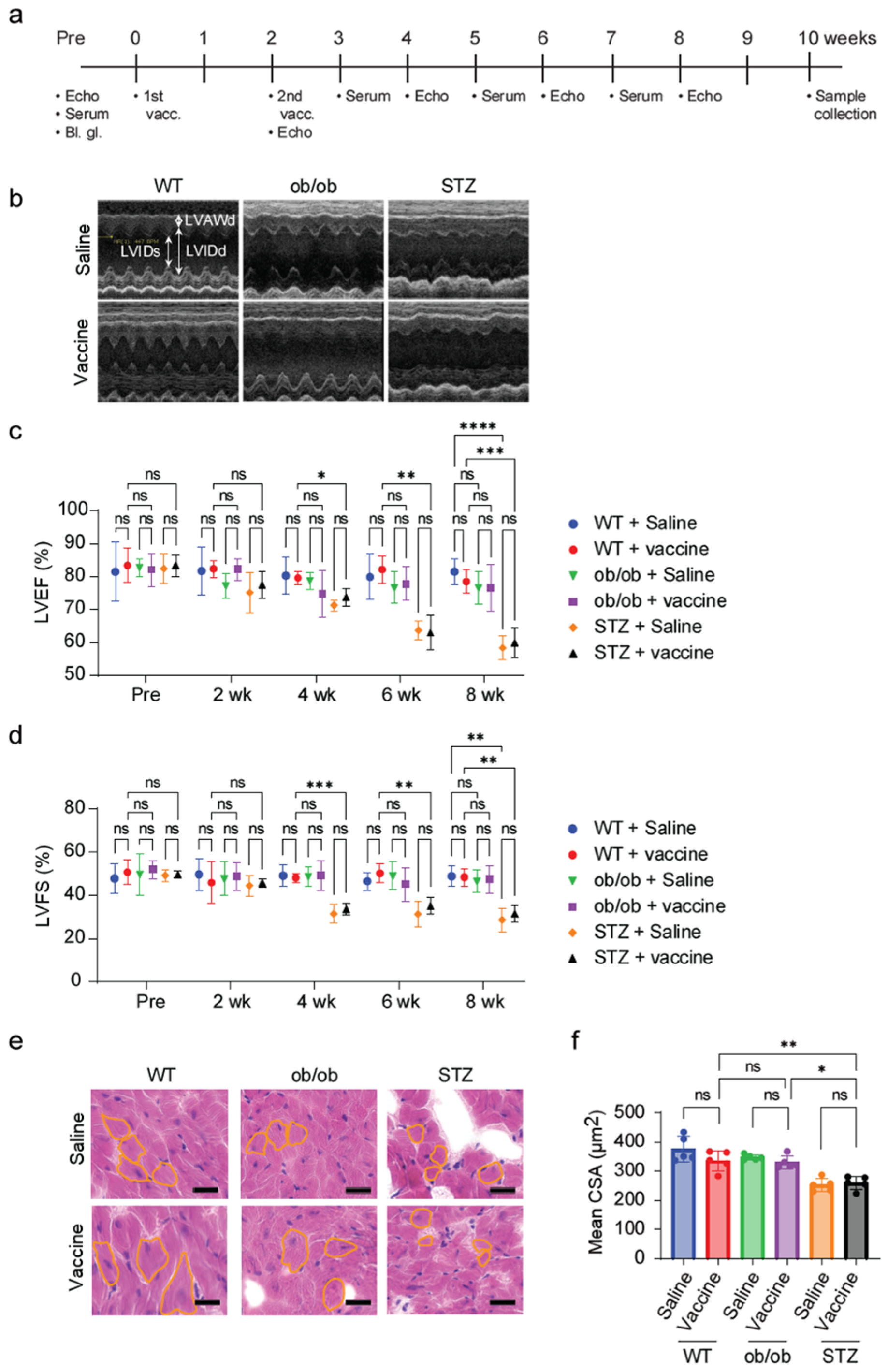 Ijms 25 10379 g002 Ijms 25 10379 g002