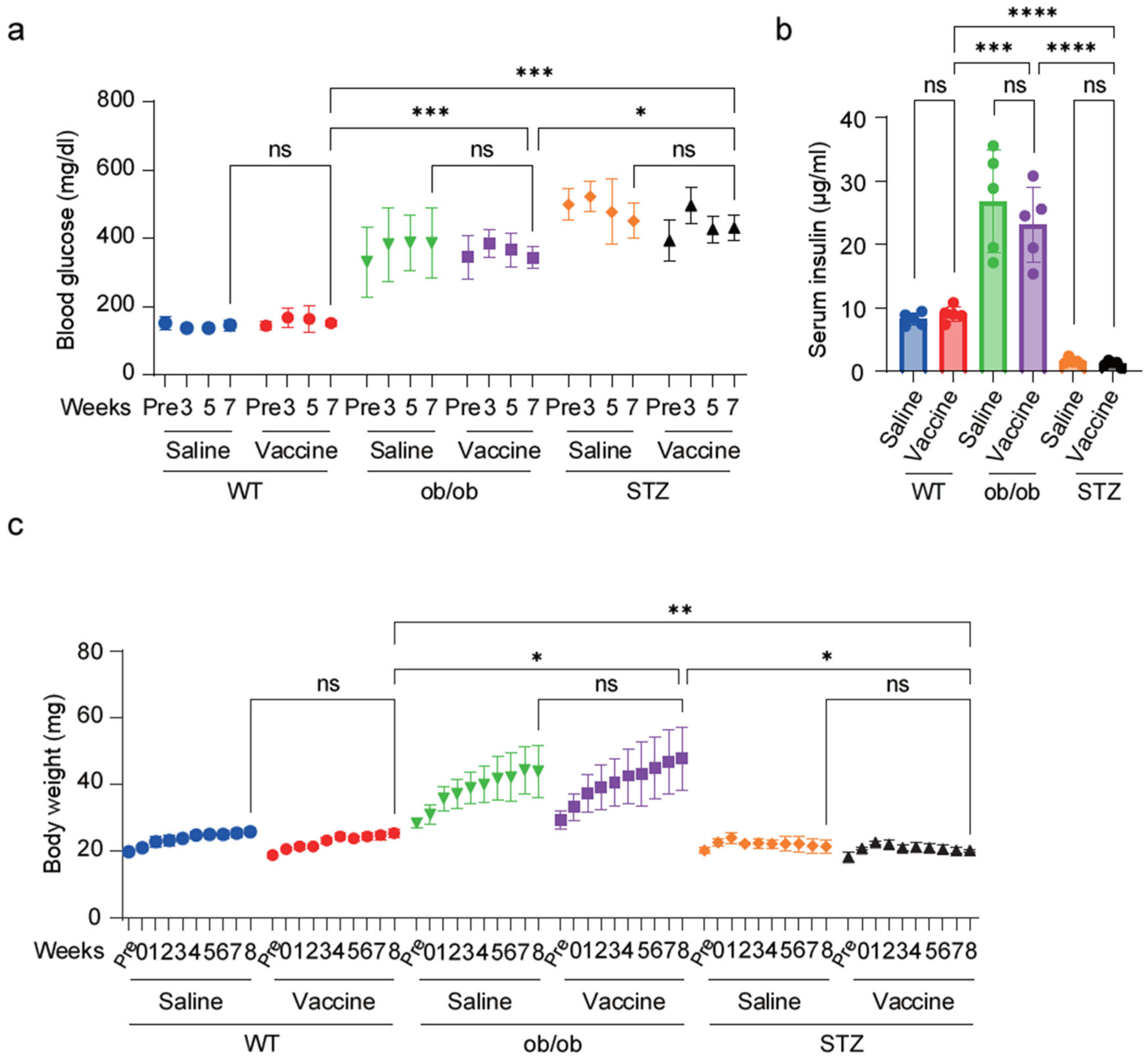 Ijms 25 10379 g003 Ijms 25 10379 g003