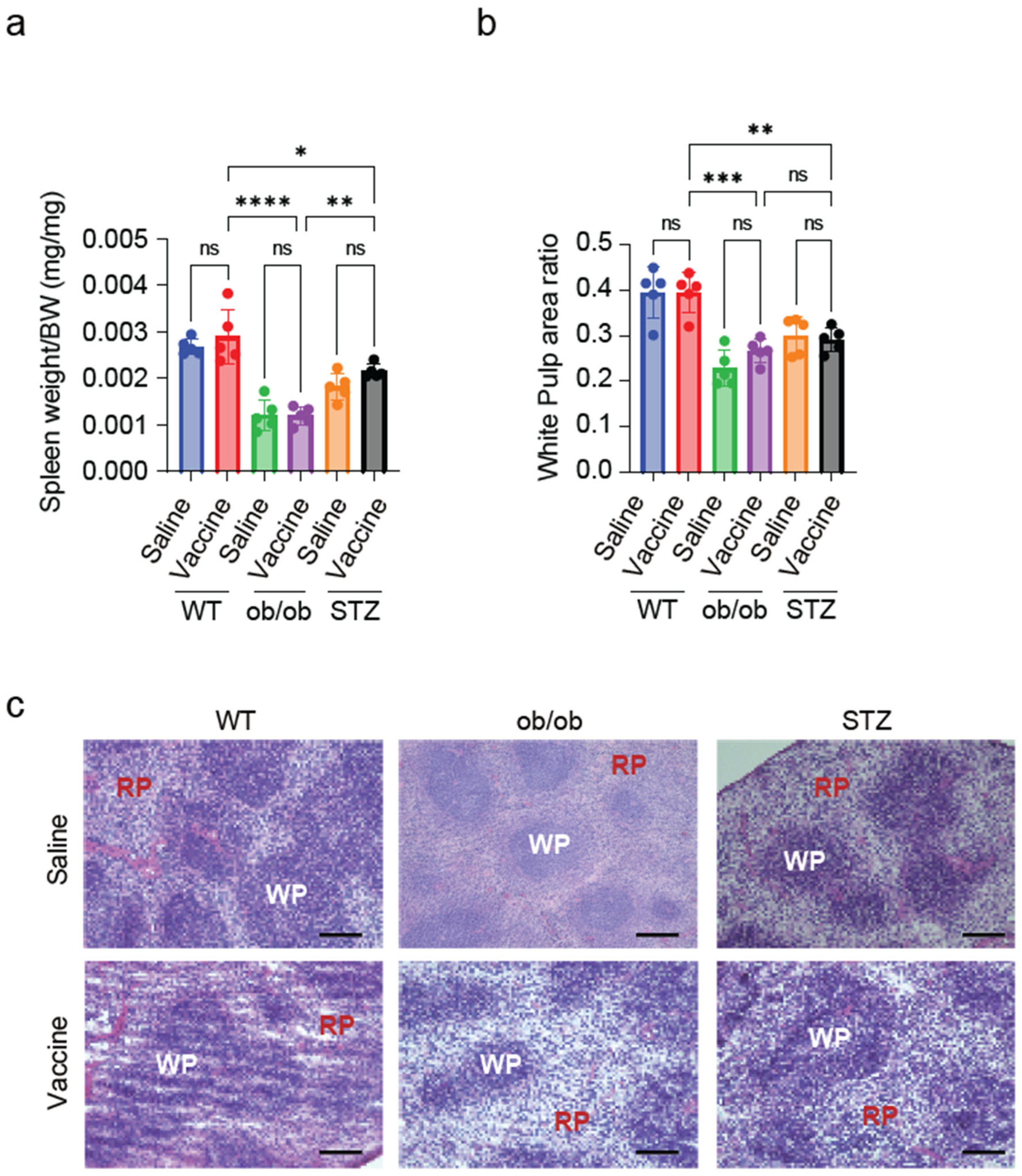 Ijms 25 10379 g006 Ijms 25 10379 g006