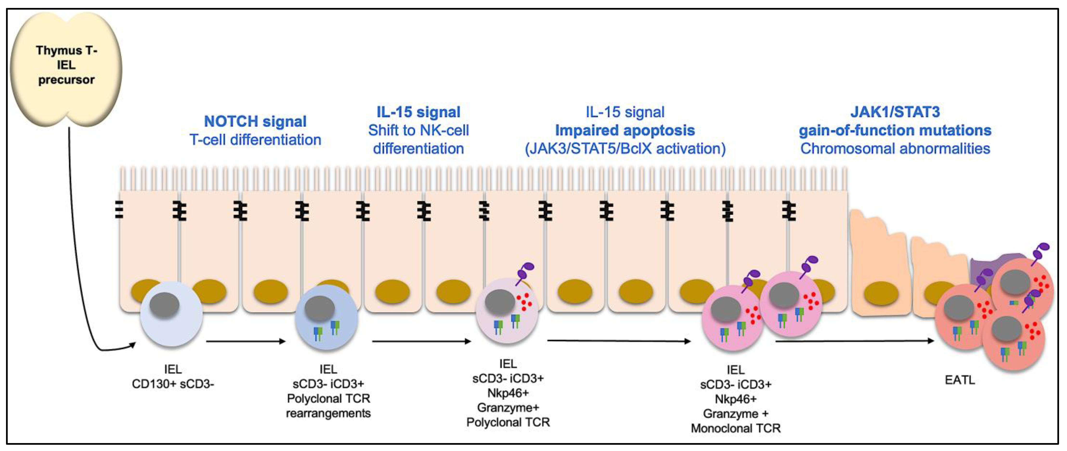 Ijms 25 10383 g001 Ijms 25 10383 g001