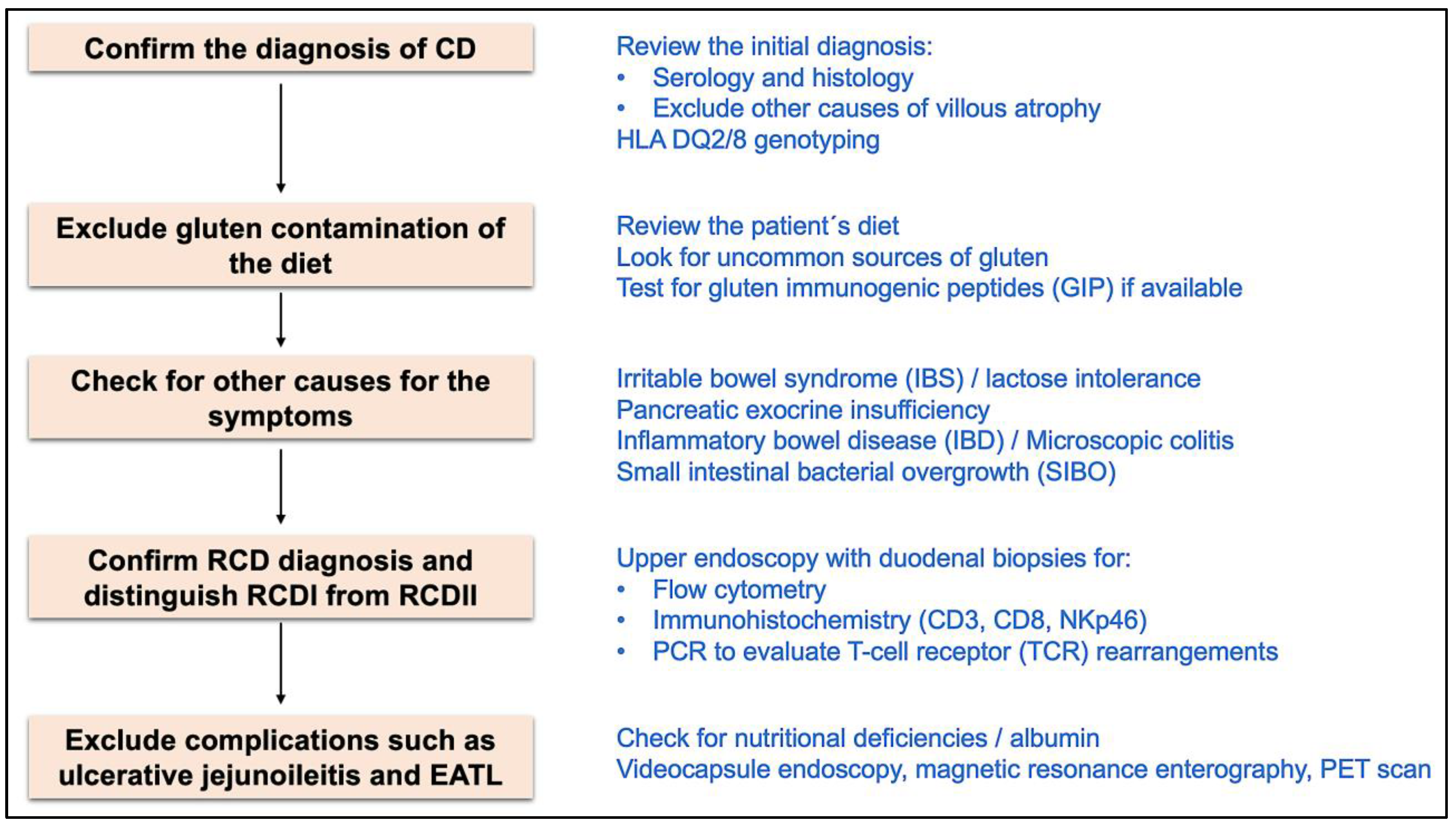 Ijms 25 10383 g003 Ijms 25 10383 g003