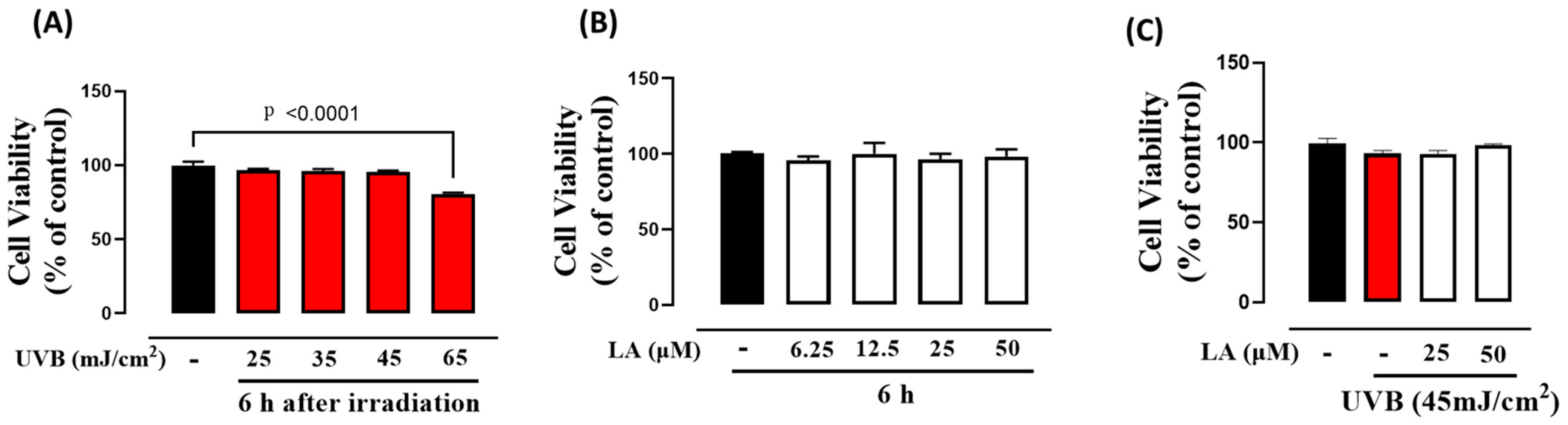 Ijms 25 10385 g001 Ijms 25 10385 g001