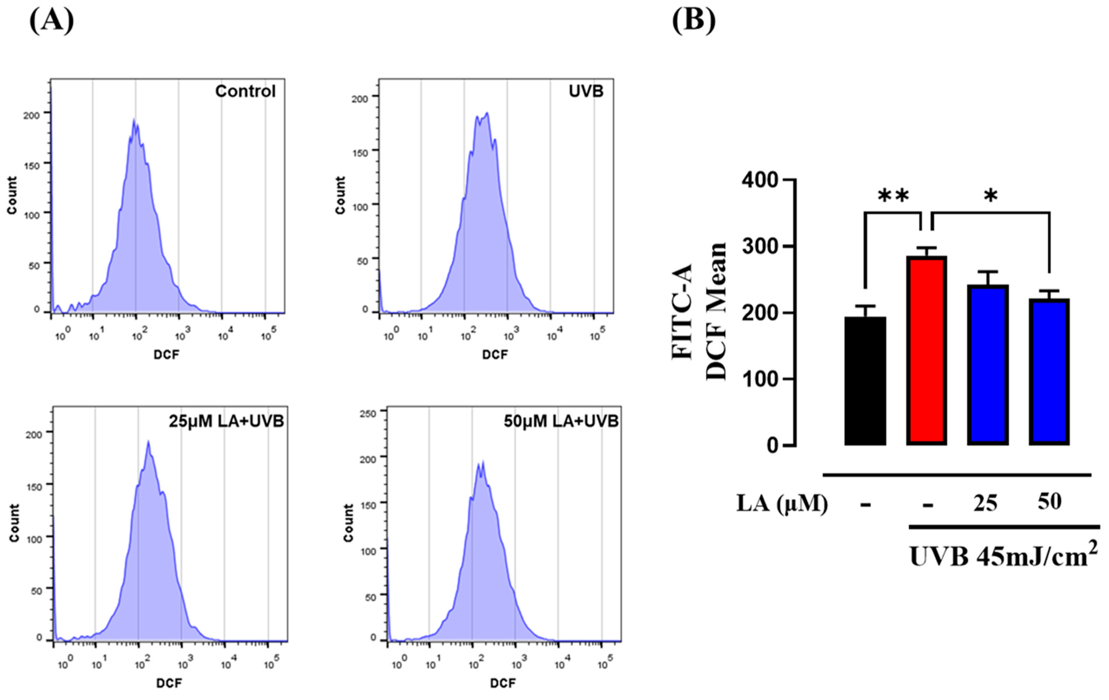 Ijms 25 10385 g002 Ijms 25 10385 g002