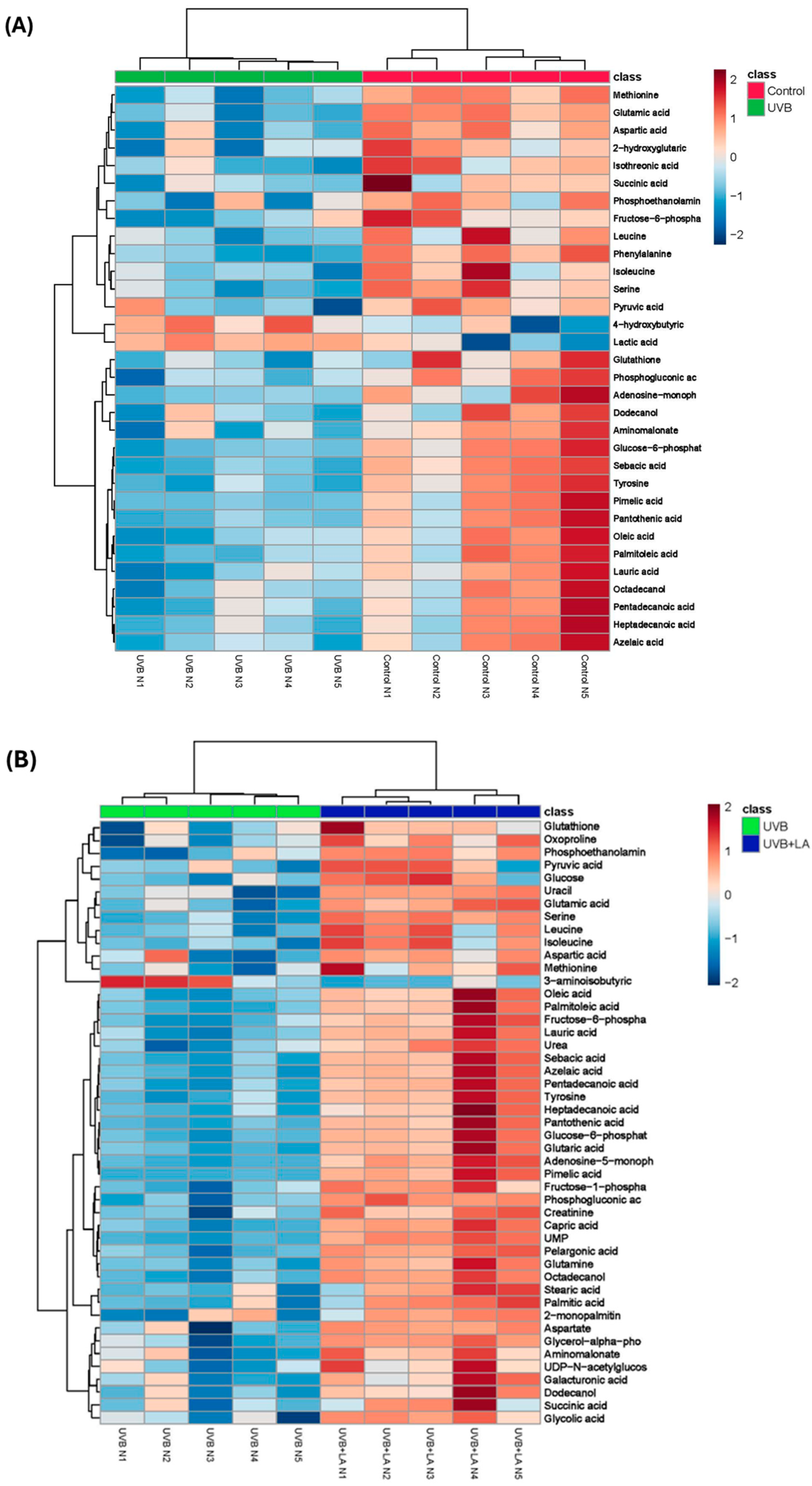 Ijms 25 10385 g004 Ijms 25 10385 g004