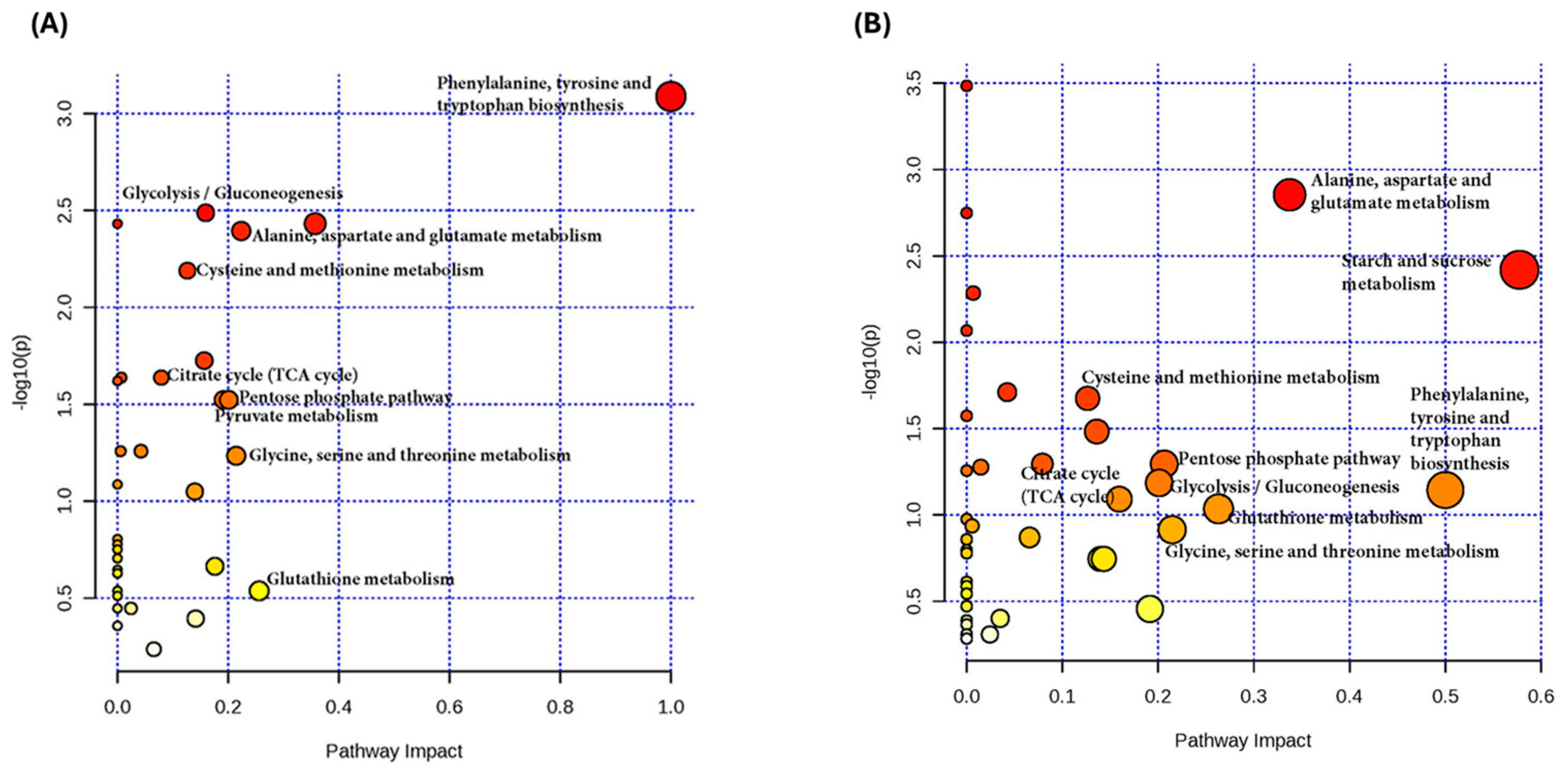 Ijms 25 10385 g005 Ijms 25 10385 g005