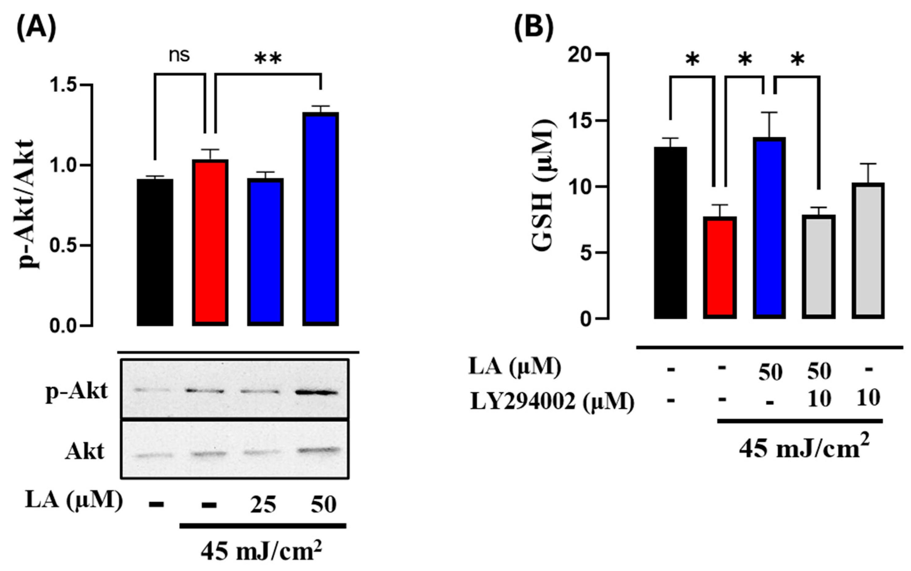 Ijms 25 10385 g007 Ijms 25 10385 g007