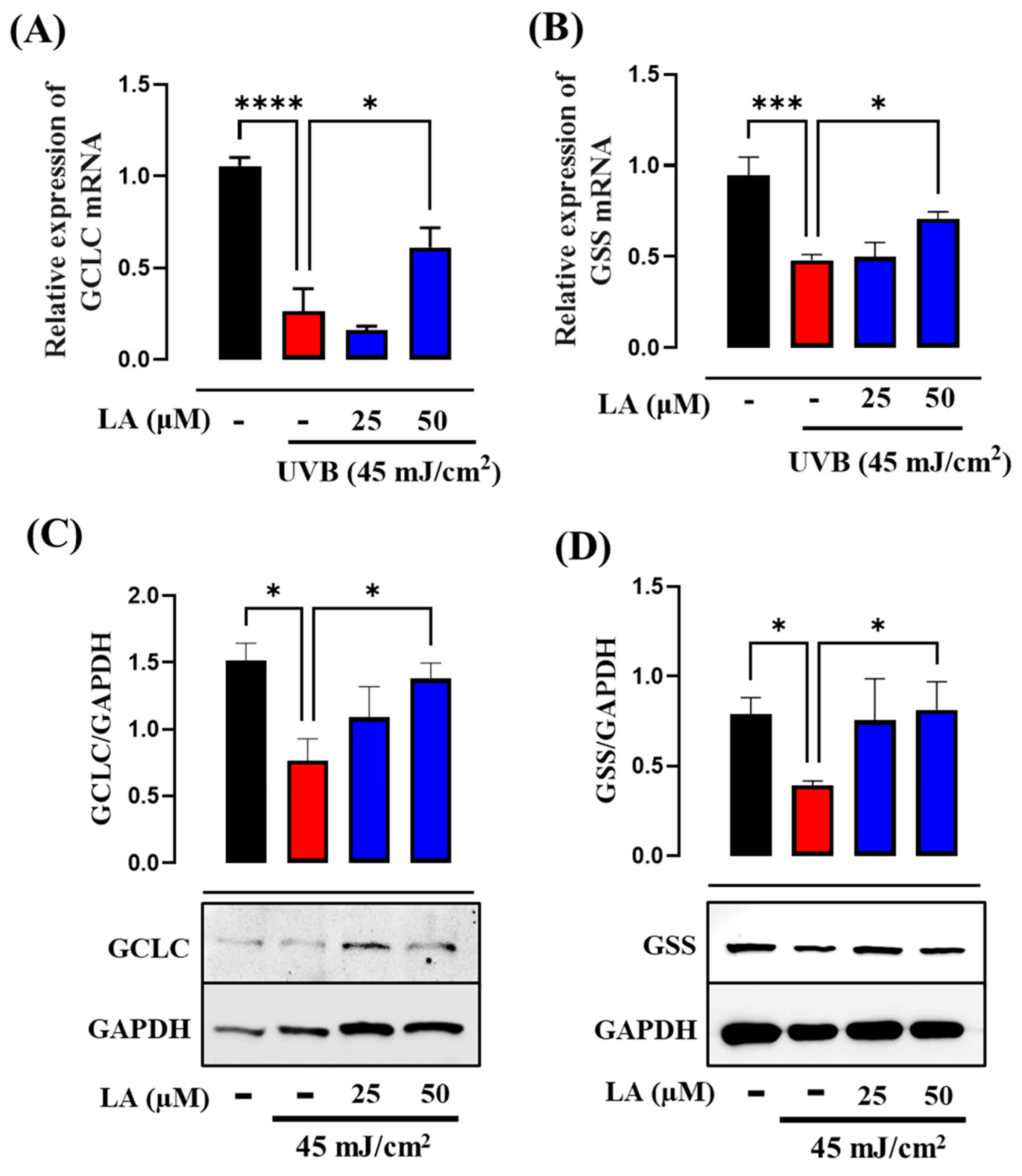 Ijms 25 10385 g008 Ijms 25 10385 g008