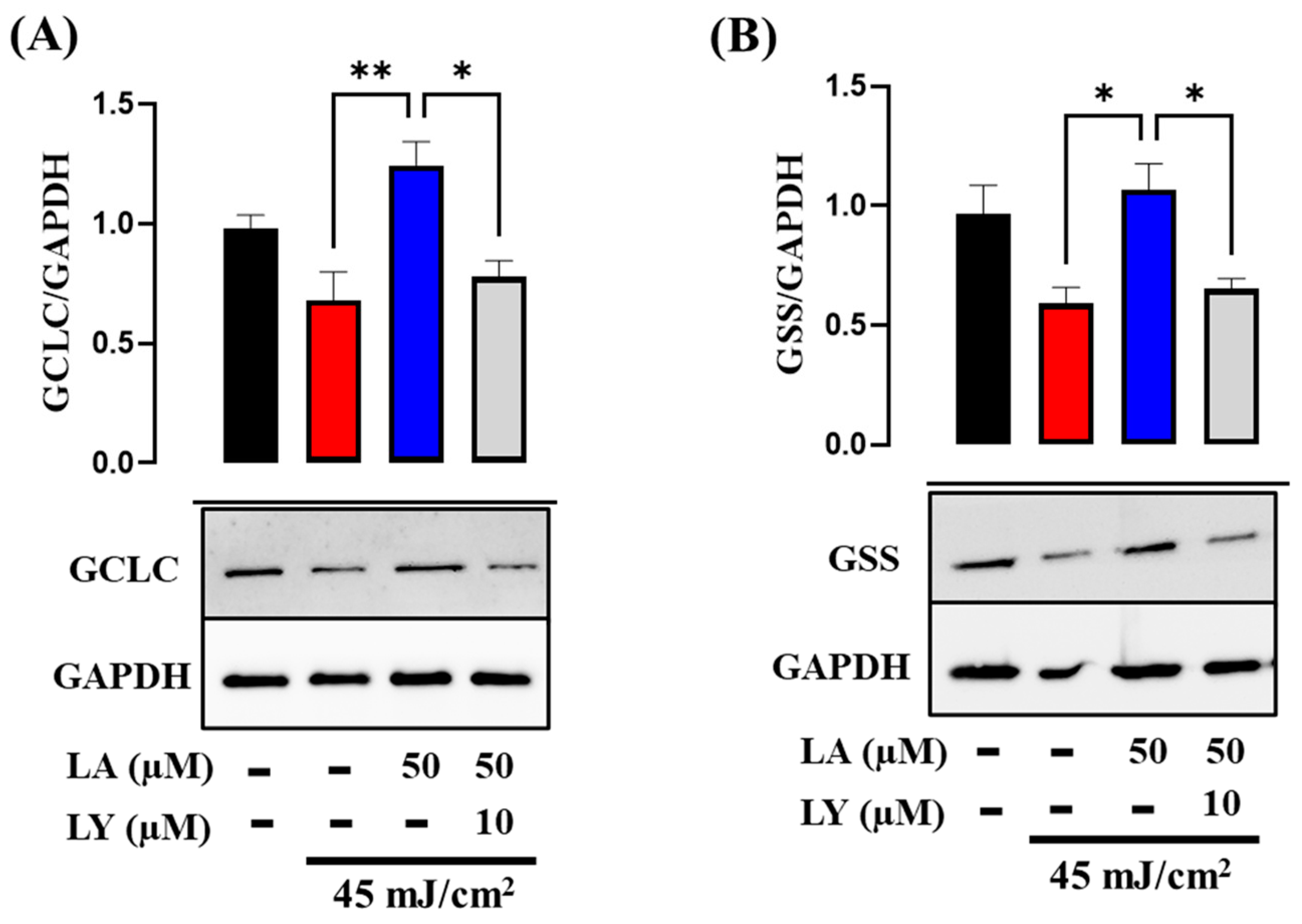 Ijms 25 10385 g009 Ijms 25 10385 g009