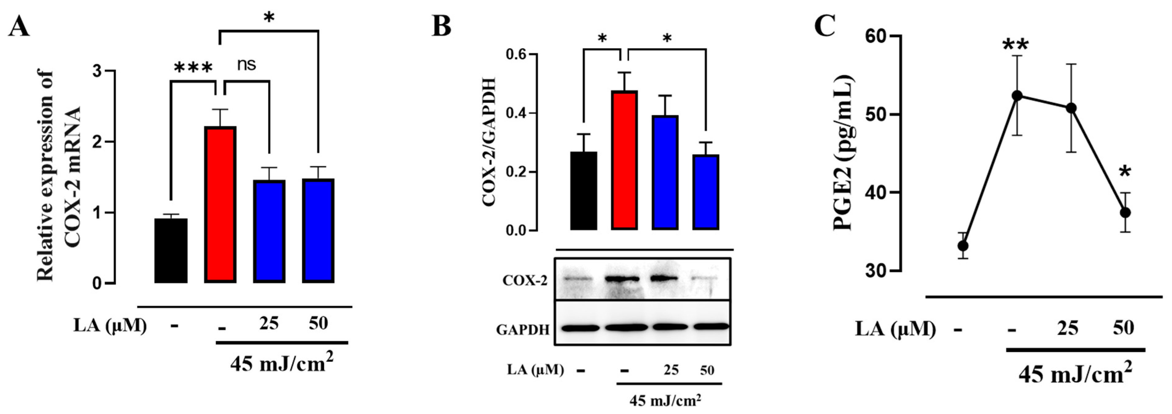 Ijms 25 10385 g010 Ijms 25 10385 g010