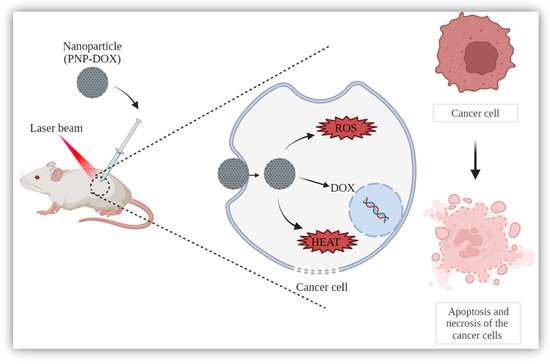 Nanomedicine in Bladder Cancer Therapy