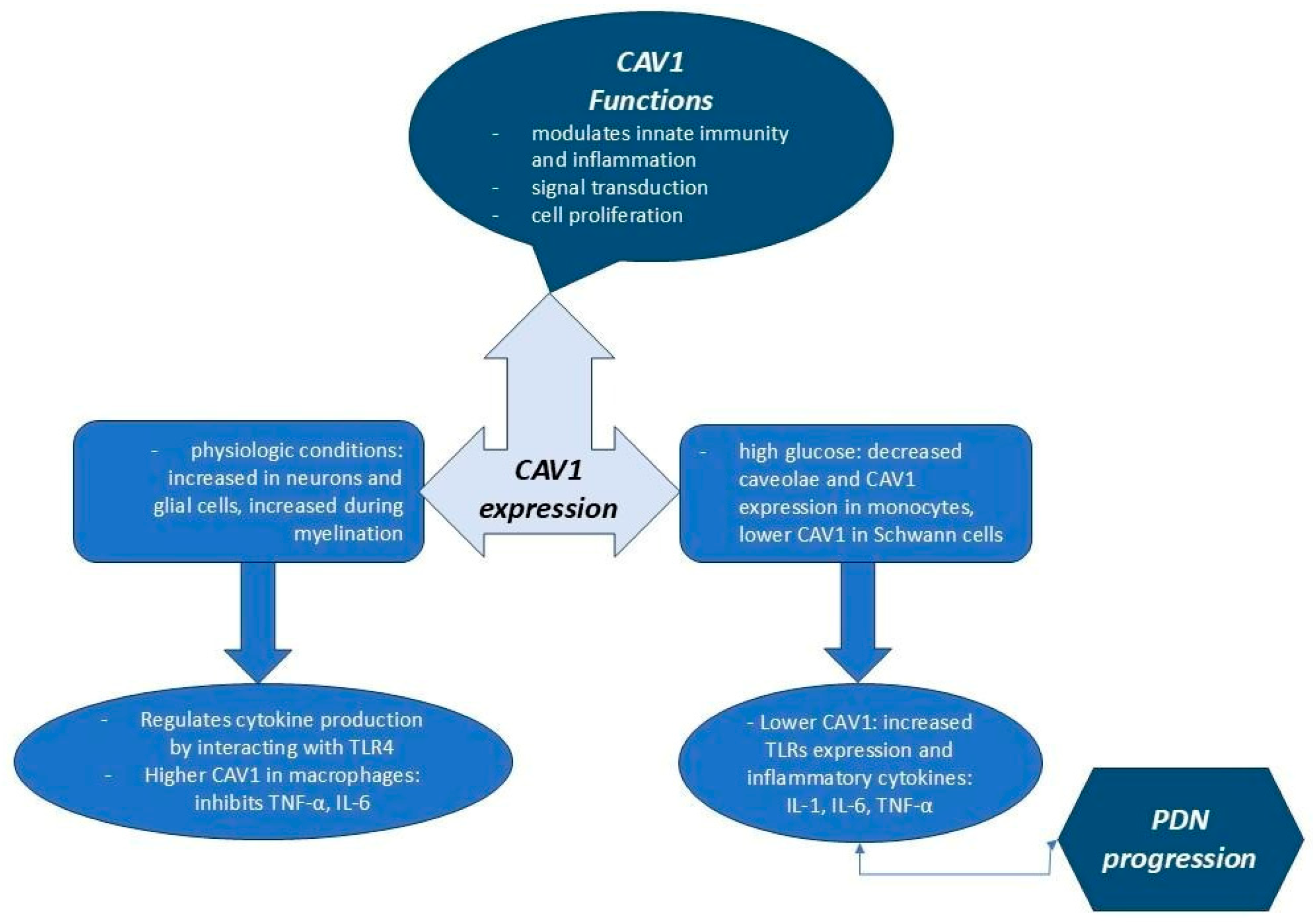 Ijms 25 10395 g002 Ijms 25 10395 g002