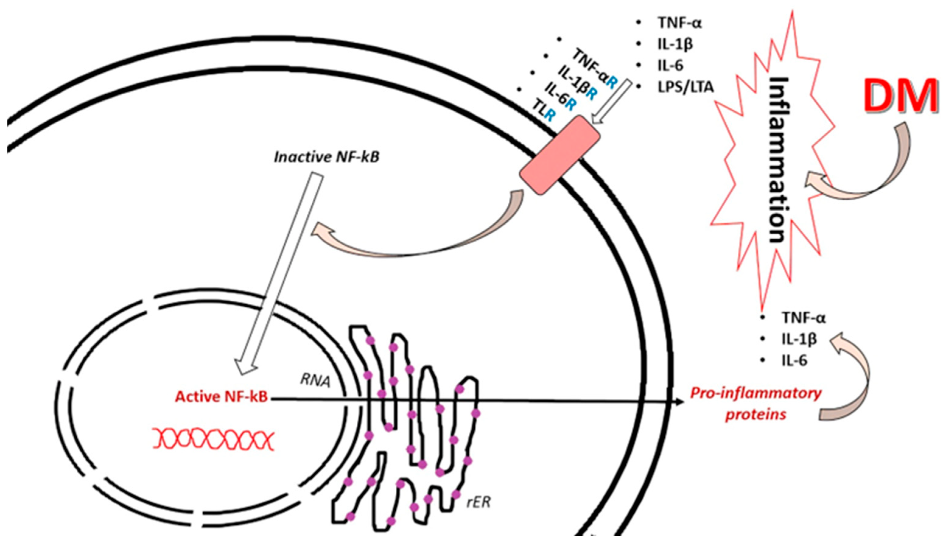 Ijms 25 10395 g003 Ijms 25 10395 g003