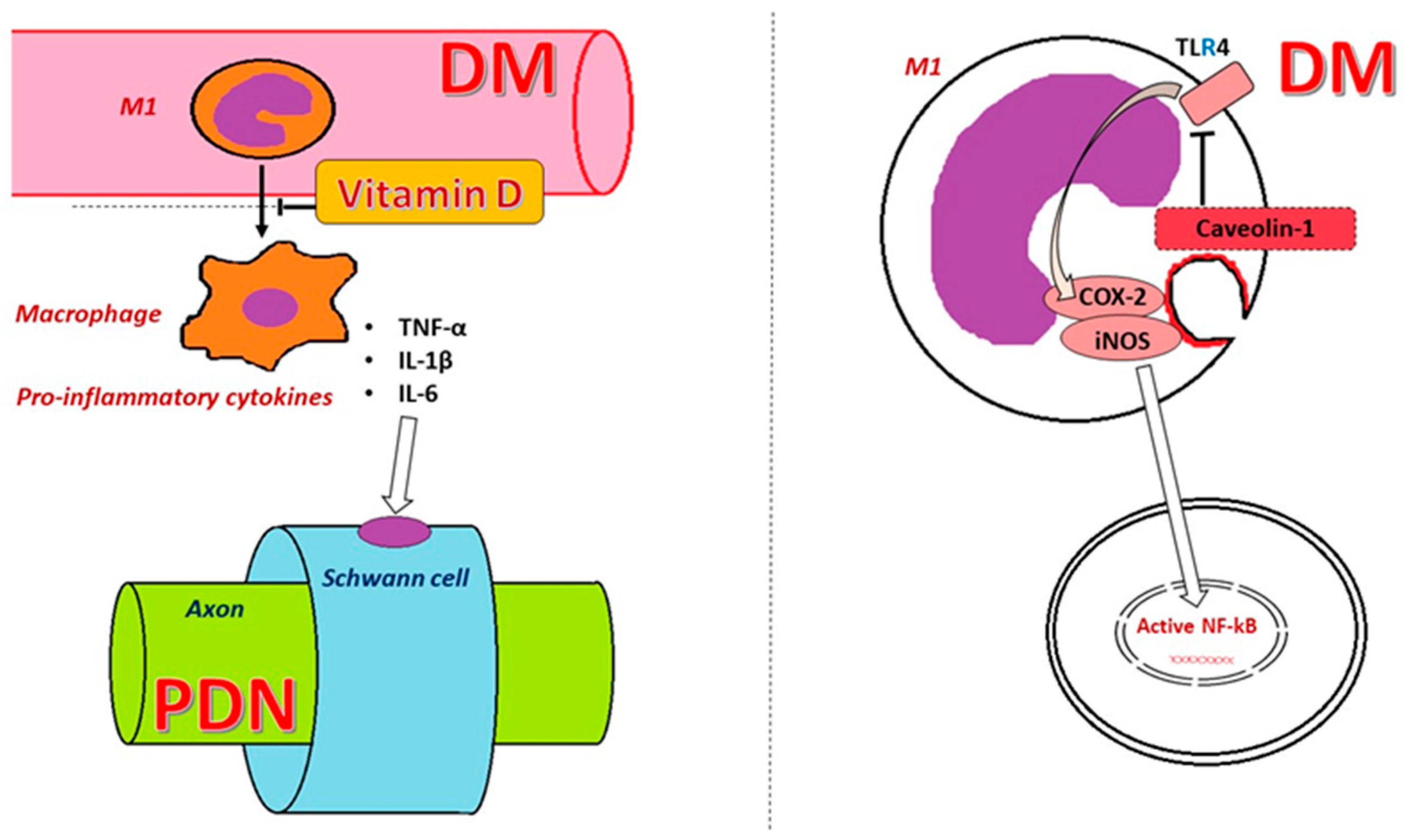 Ijms 25 10395 g004 Ijms 25 10395 g004