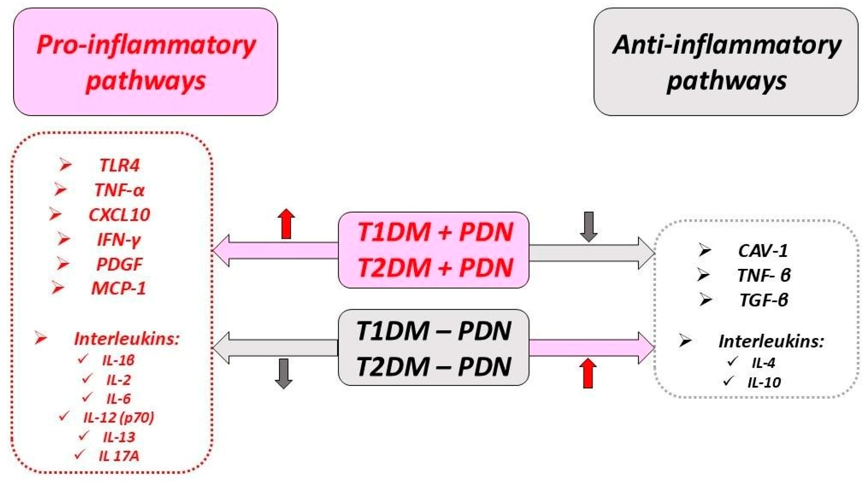Ijms 25 10395 g005 Ijms 25 10395 g005