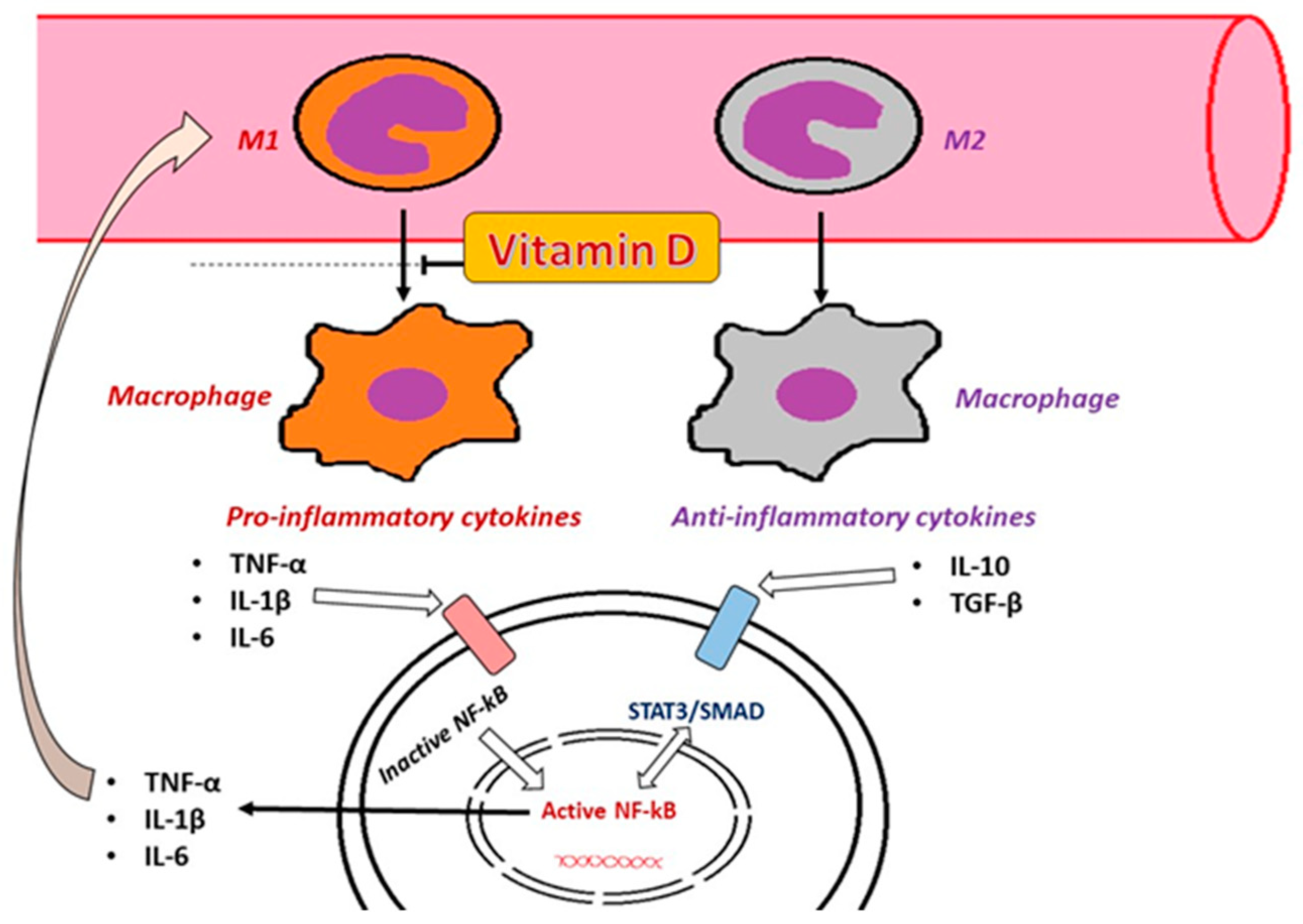 Ijms 25 10395 g006 Ijms 25 10395 g006