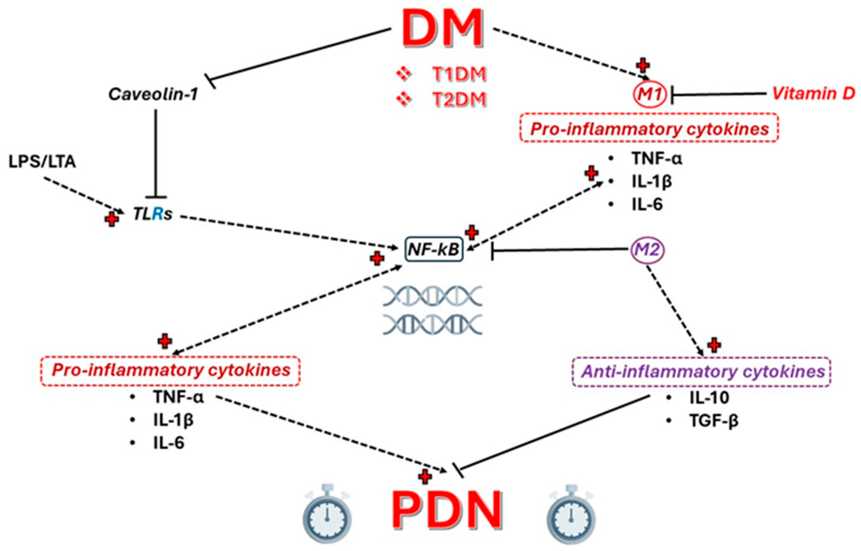 Ijms 25 10395 g007 Ijms 25 10395 g007
