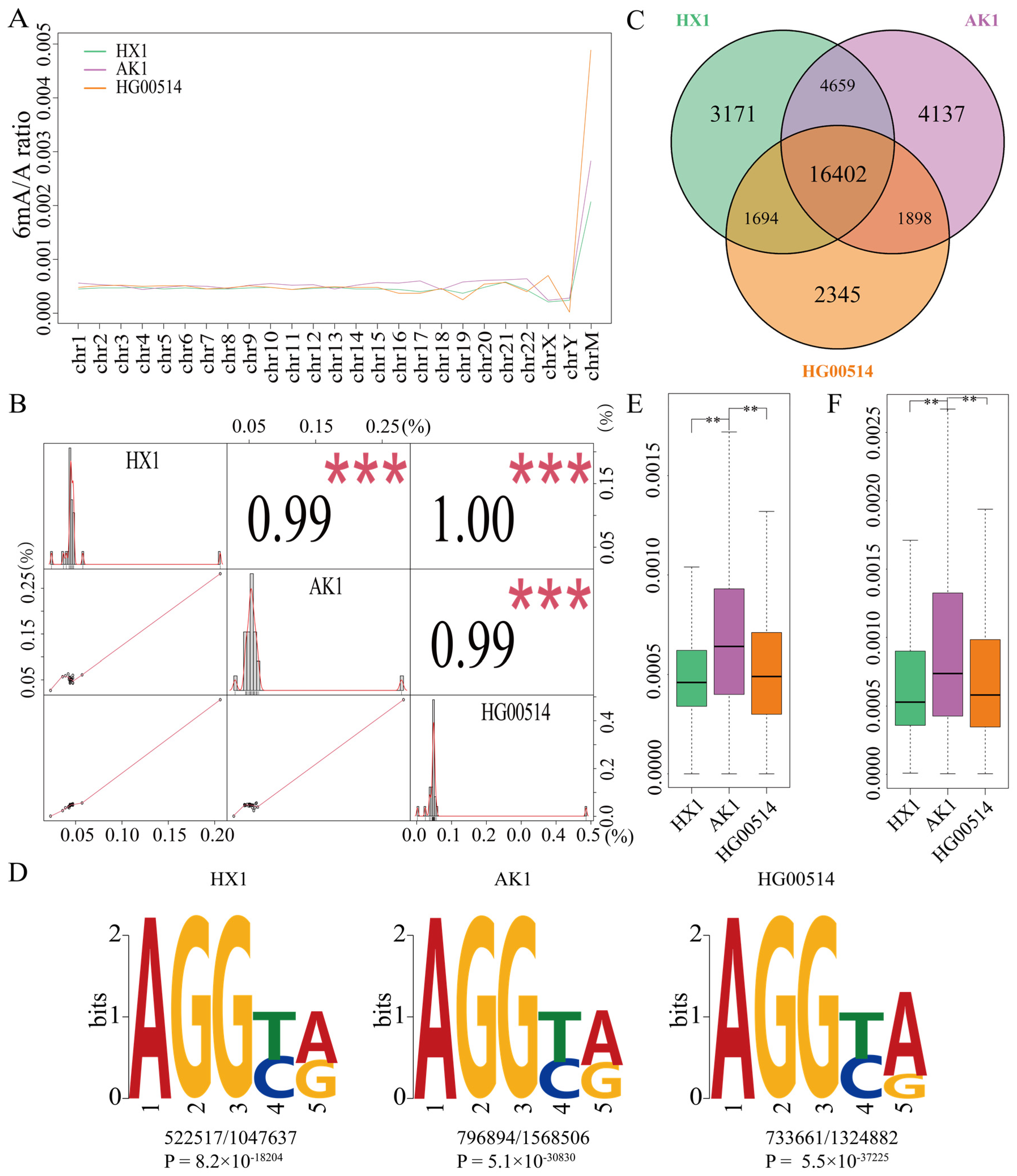 Ijms 25 10400 g001 Ijms 25 10400 g001