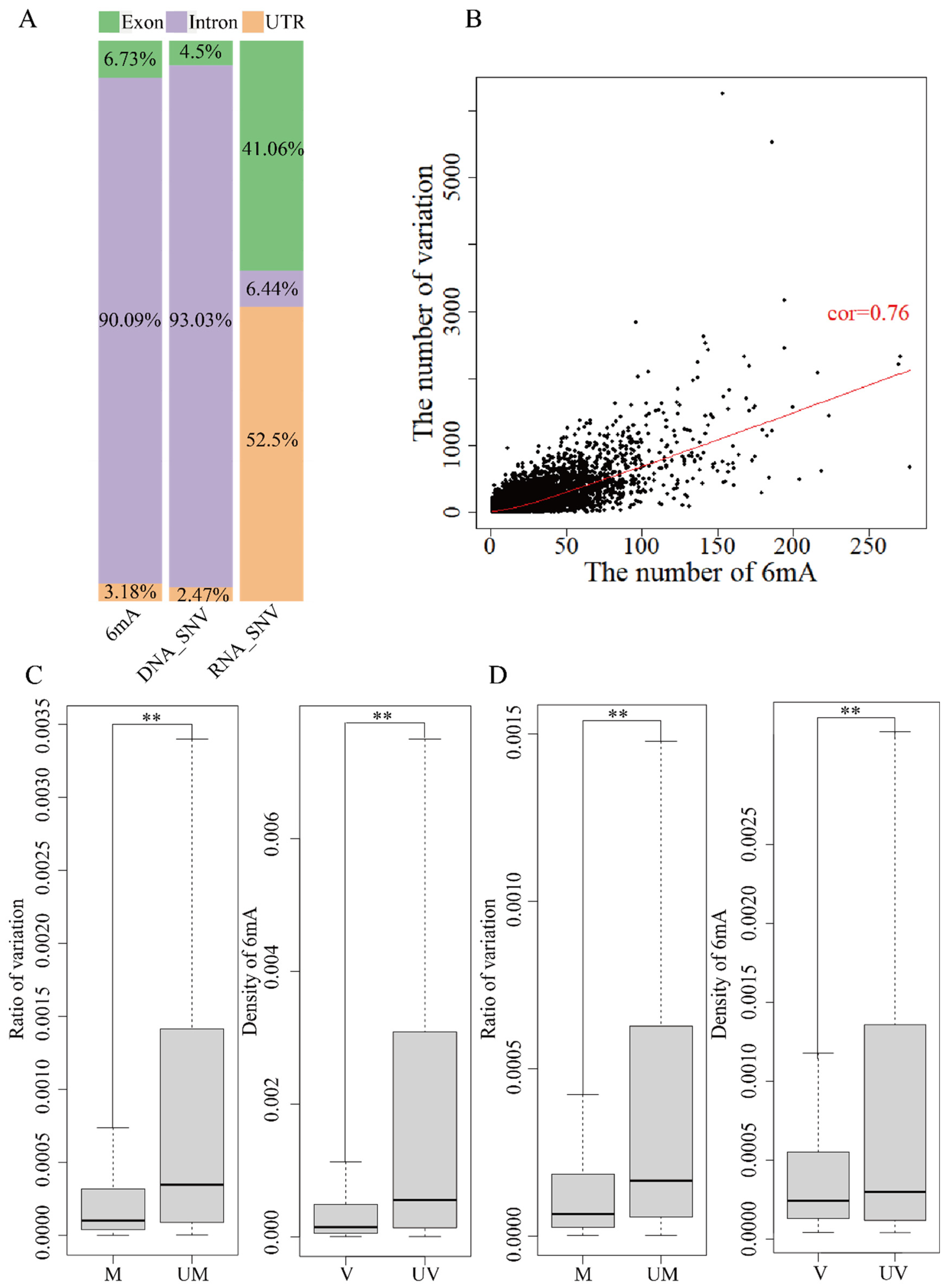 Ijms 25 10400 g003 Ijms 25 10400 g003