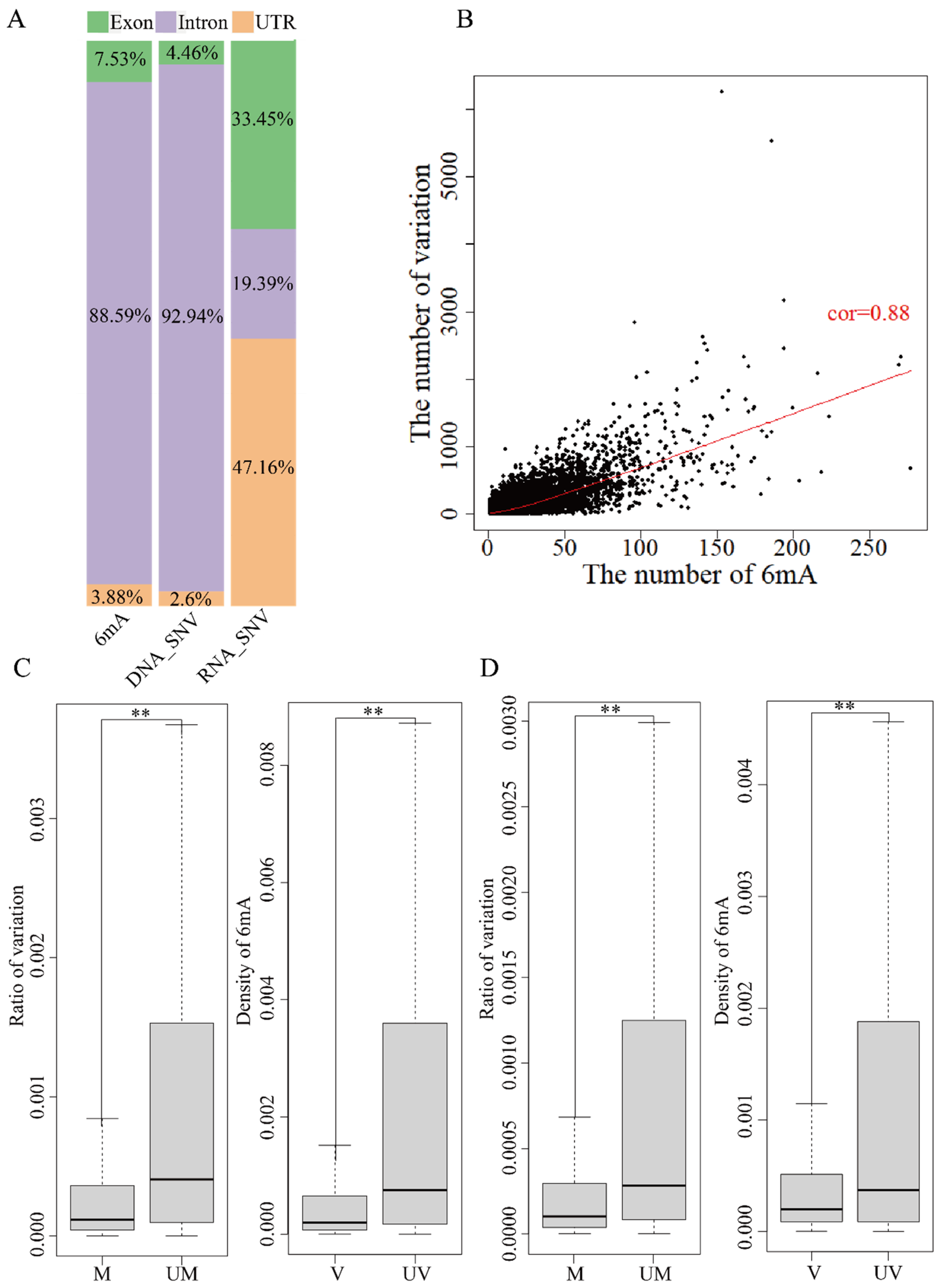 Ijms 25 10400 g004 Ijms 25 10400 g004