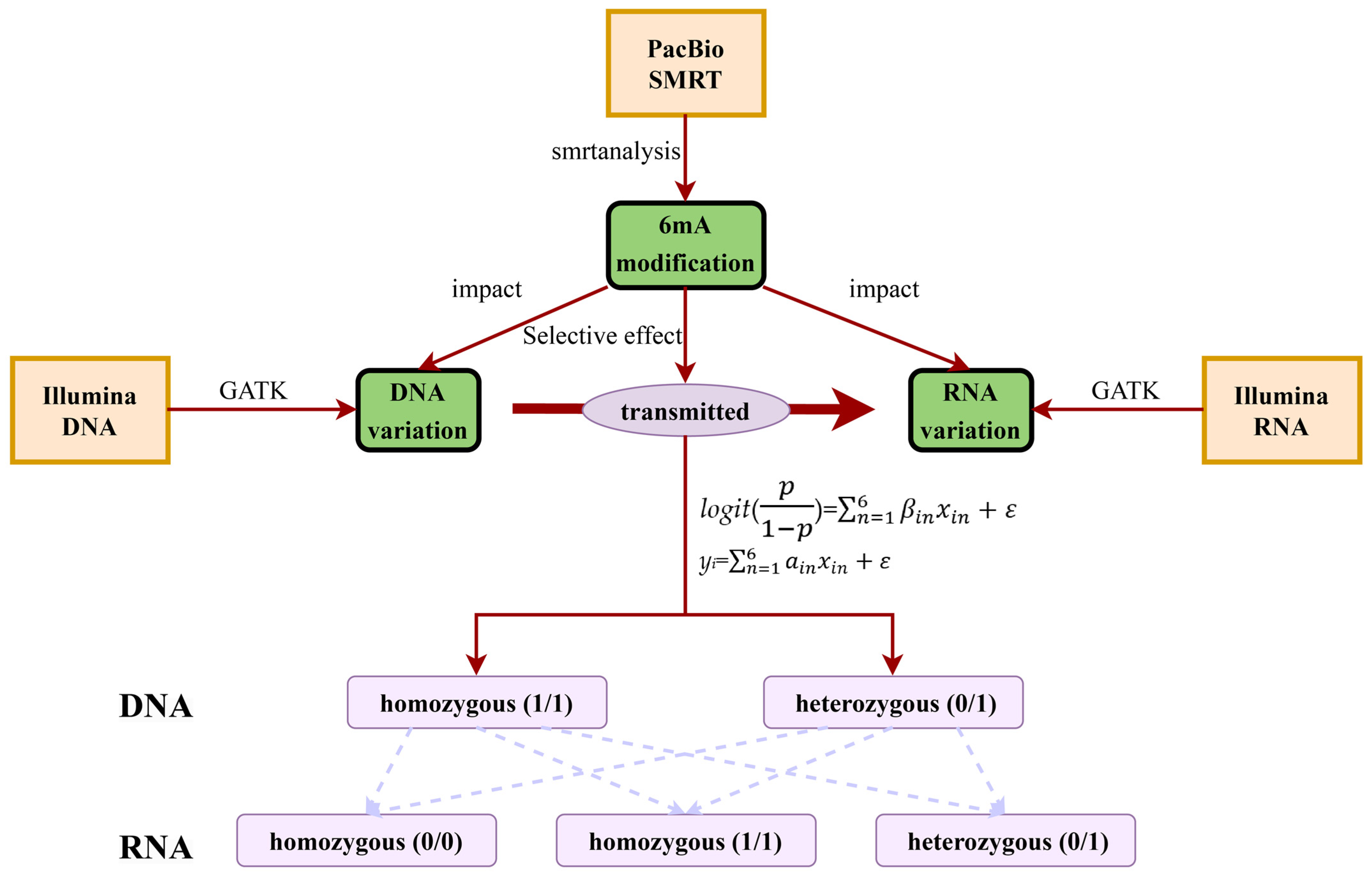 Ijms 25 10400 g005 Ijms 25 10400 g005