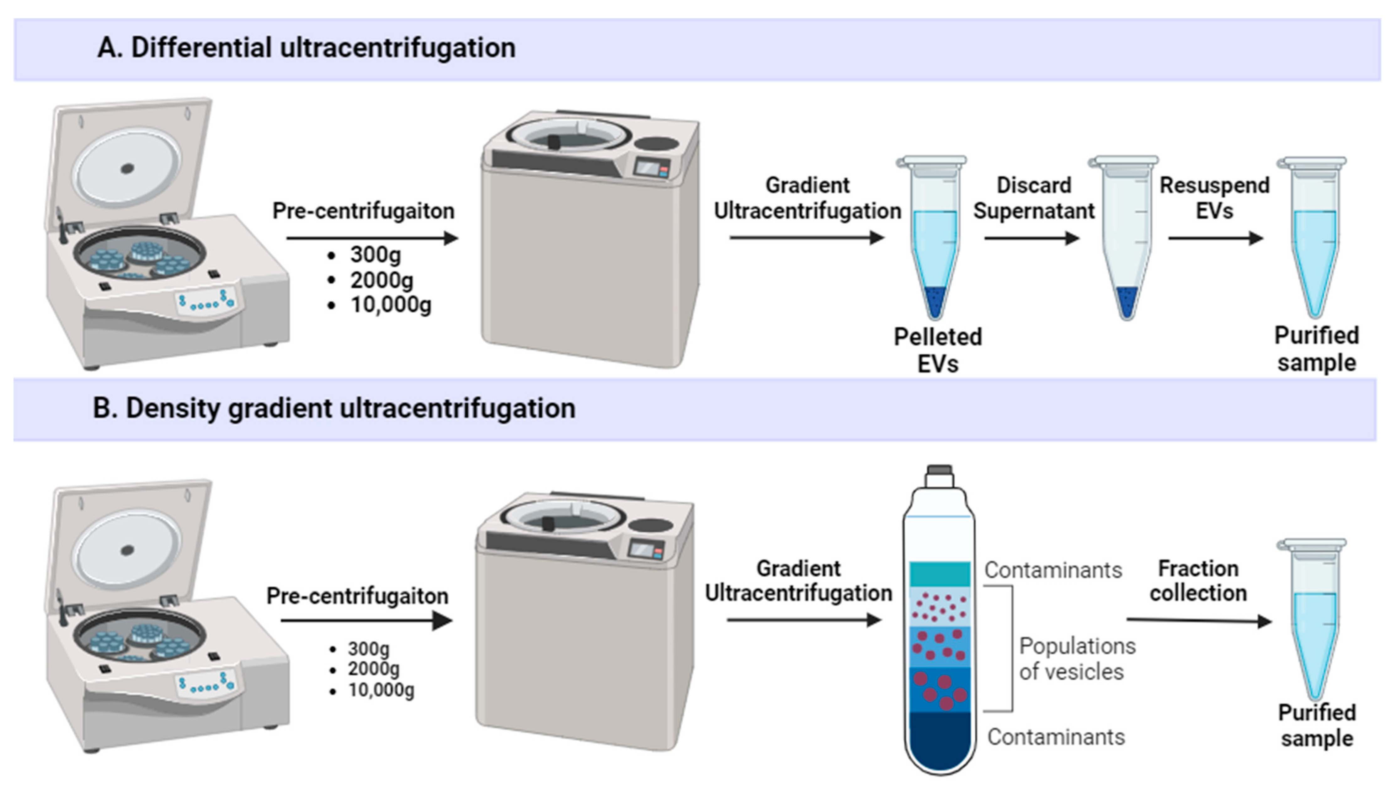 Ijms 25 10401 g002 Ijms 25 10401 g002