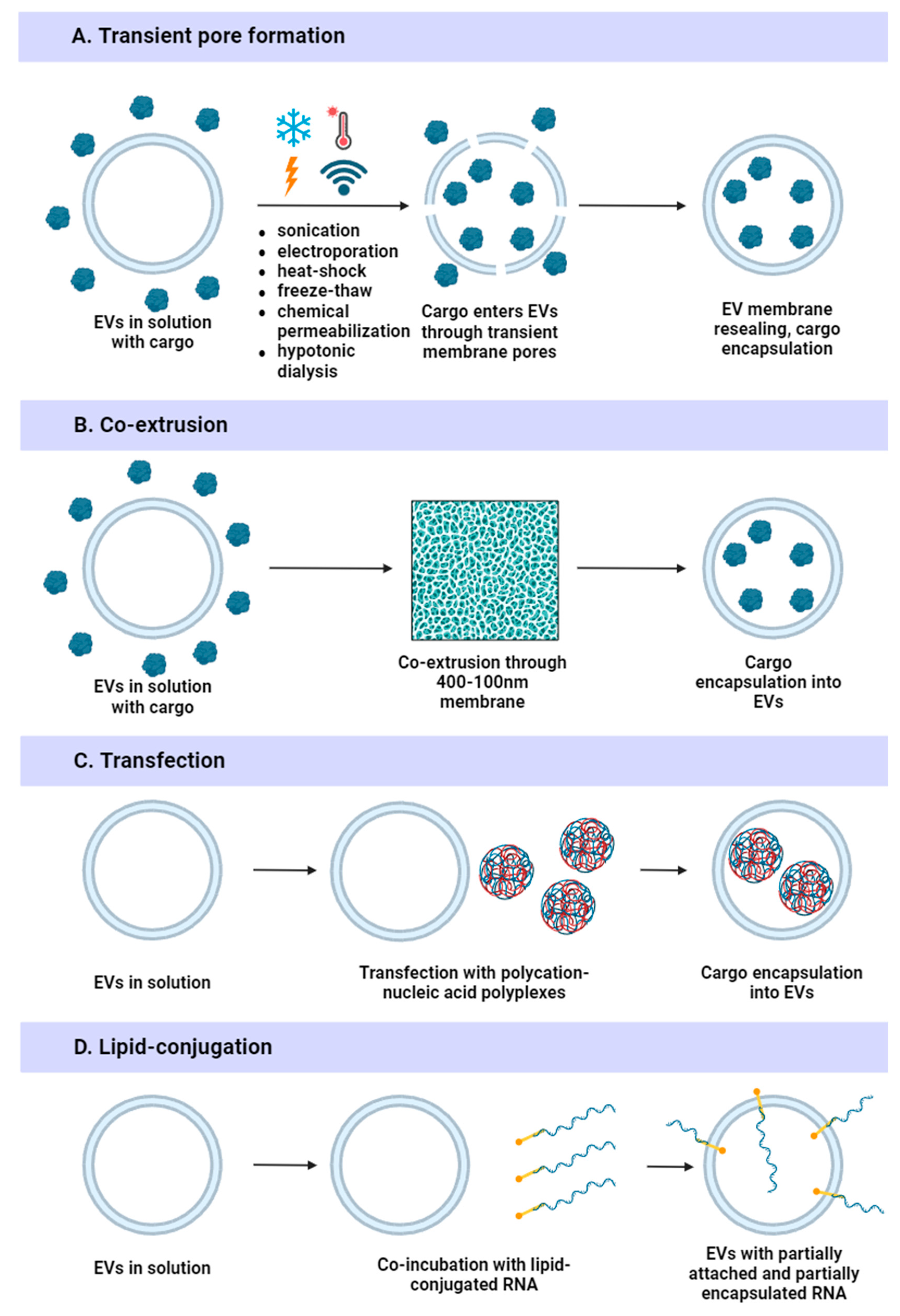 Ijms 25 10401 g007 Ijms 25 10401 g007