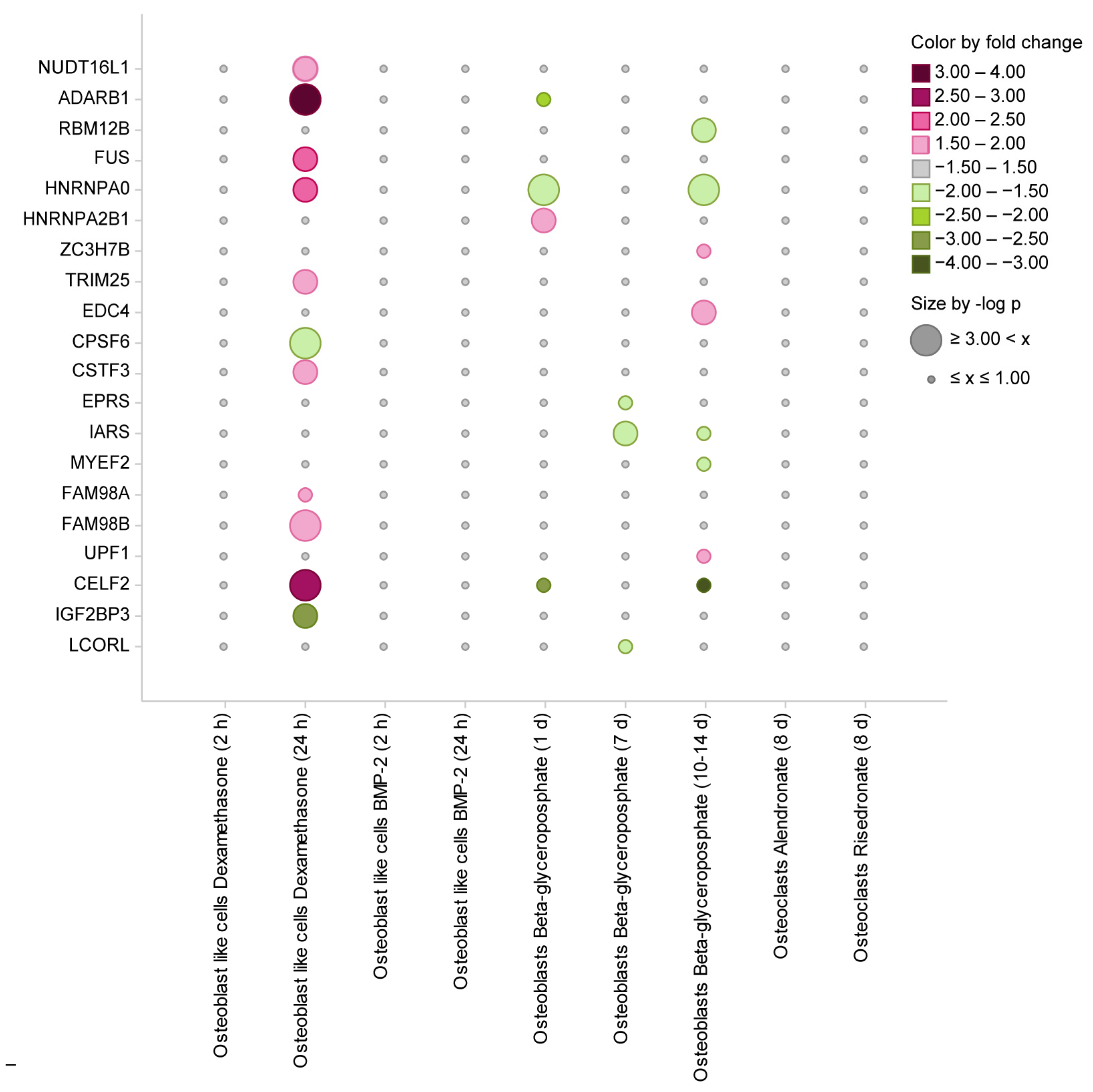 Ijms 25 10417 g003 Ijms 25 10417 g003