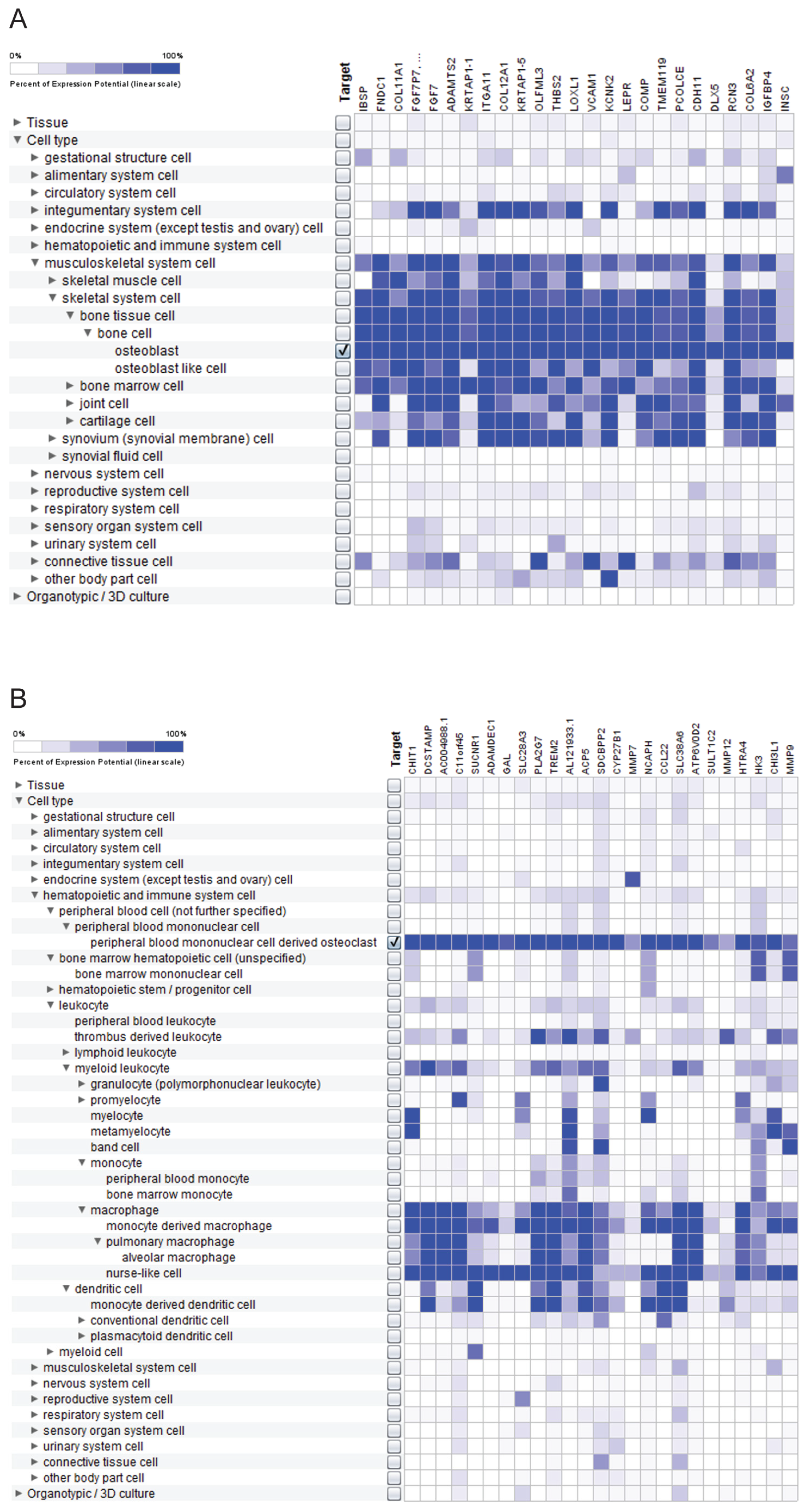 Ijms 25 10417 g006 Ijms 25 10417 g006