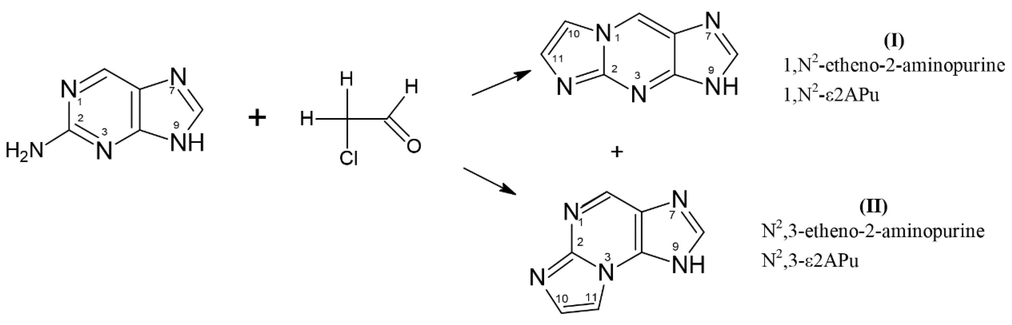 Ijms 25 10426 sch001