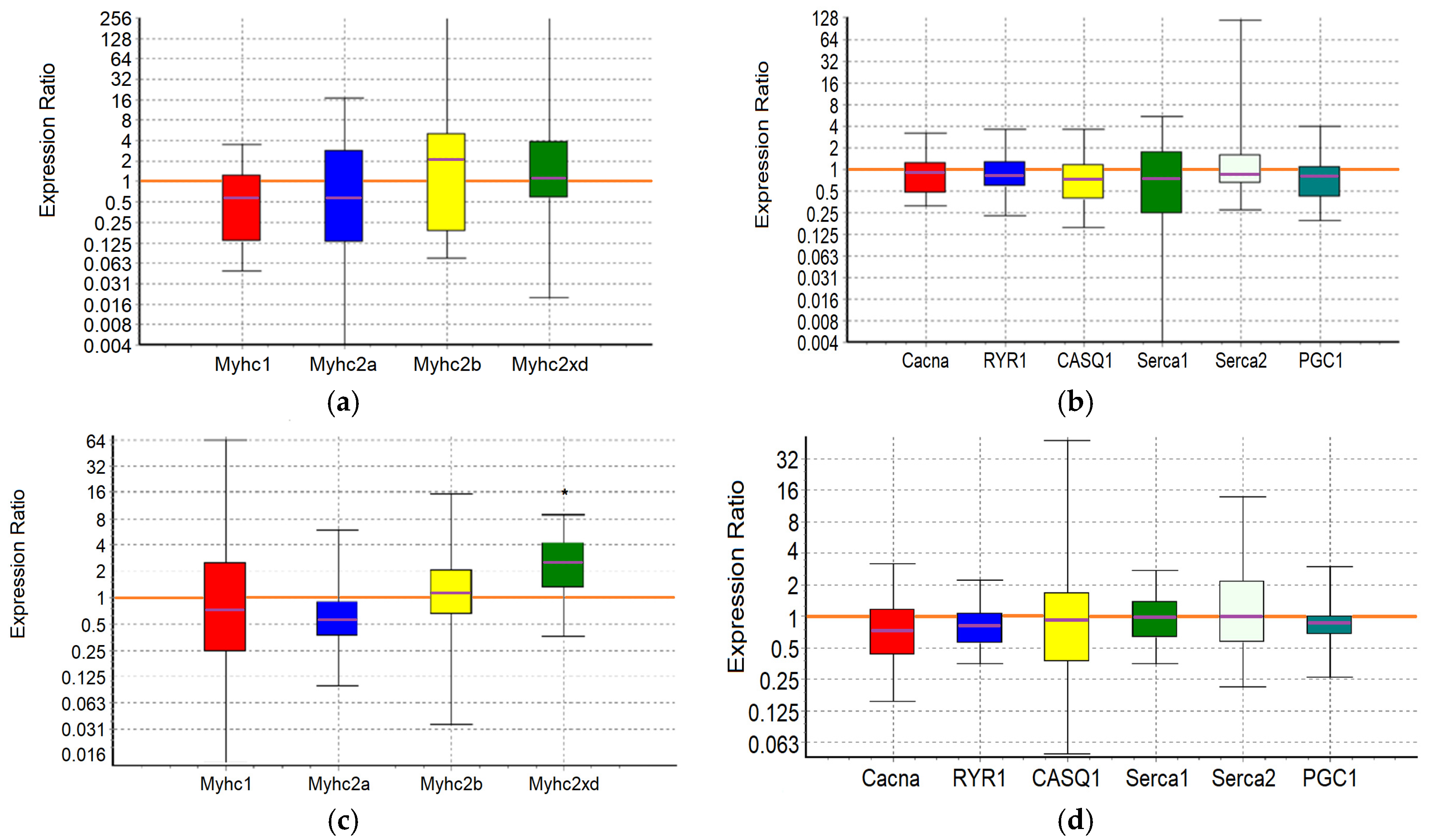 Ijms 25 10438 g002 Ijms 25 10438 g002