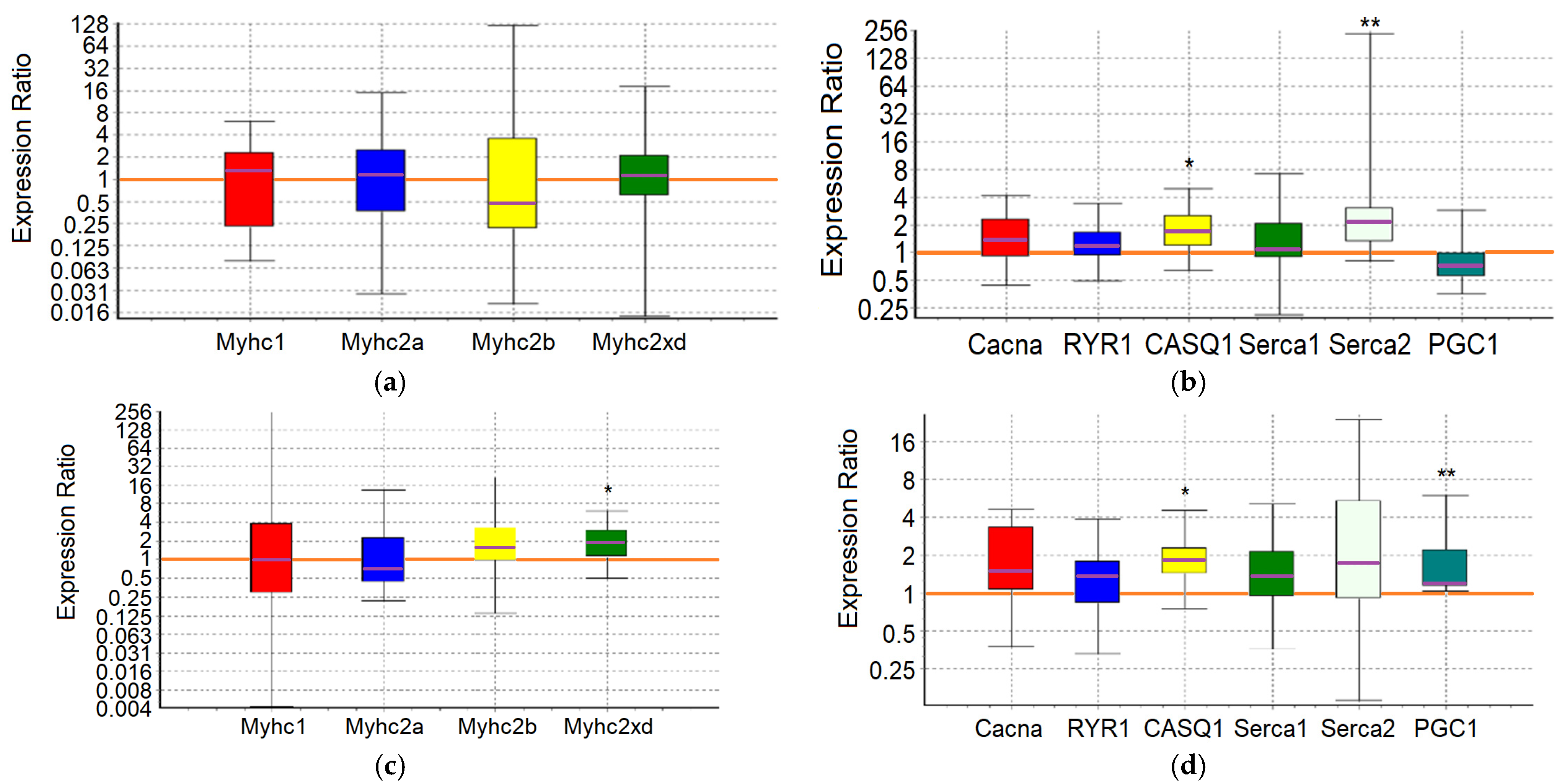 Ijms 25 10438 g004 Ijms 25 10438 g004
