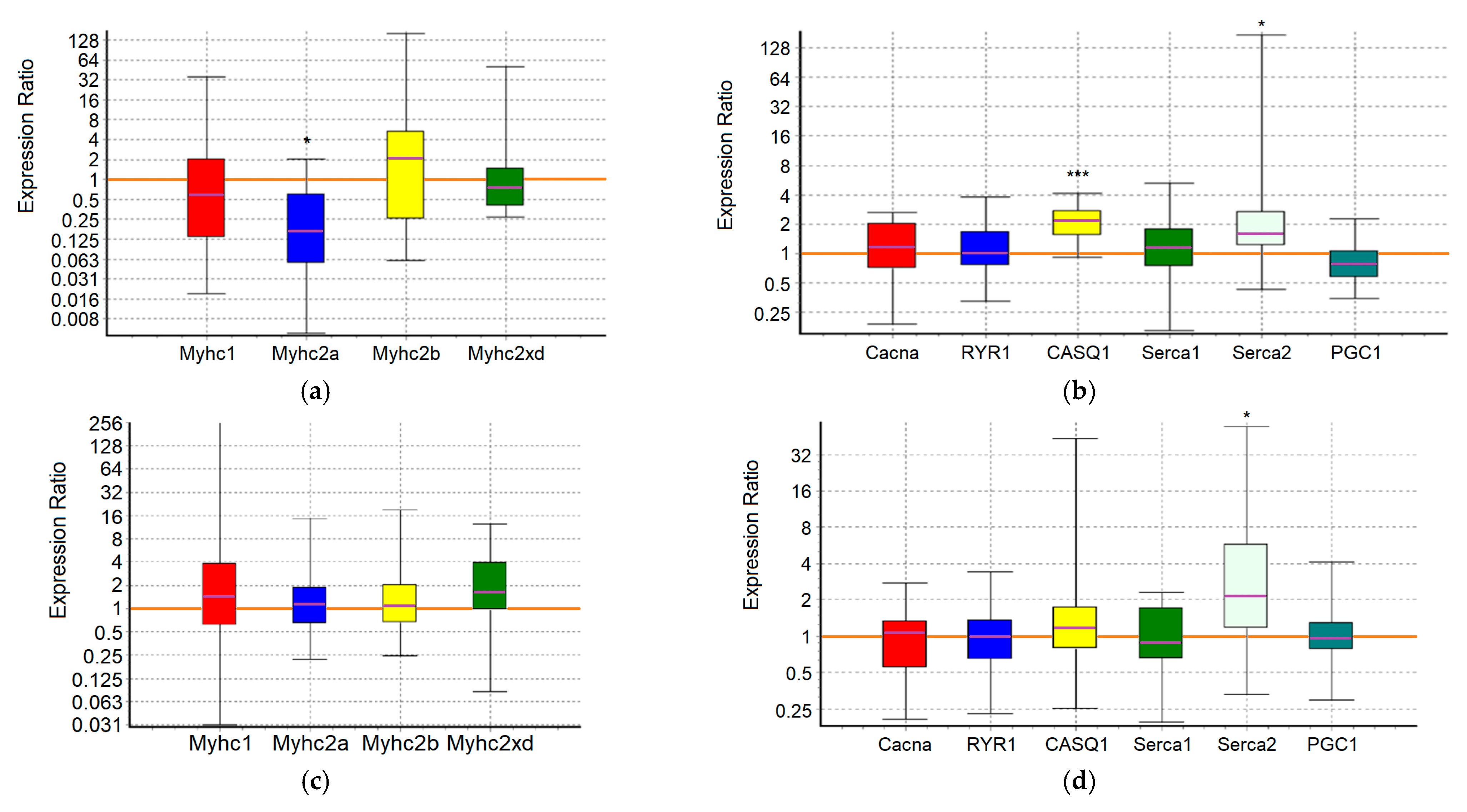 Ijms 25 10438 g005 Ijms 25 10438 g005