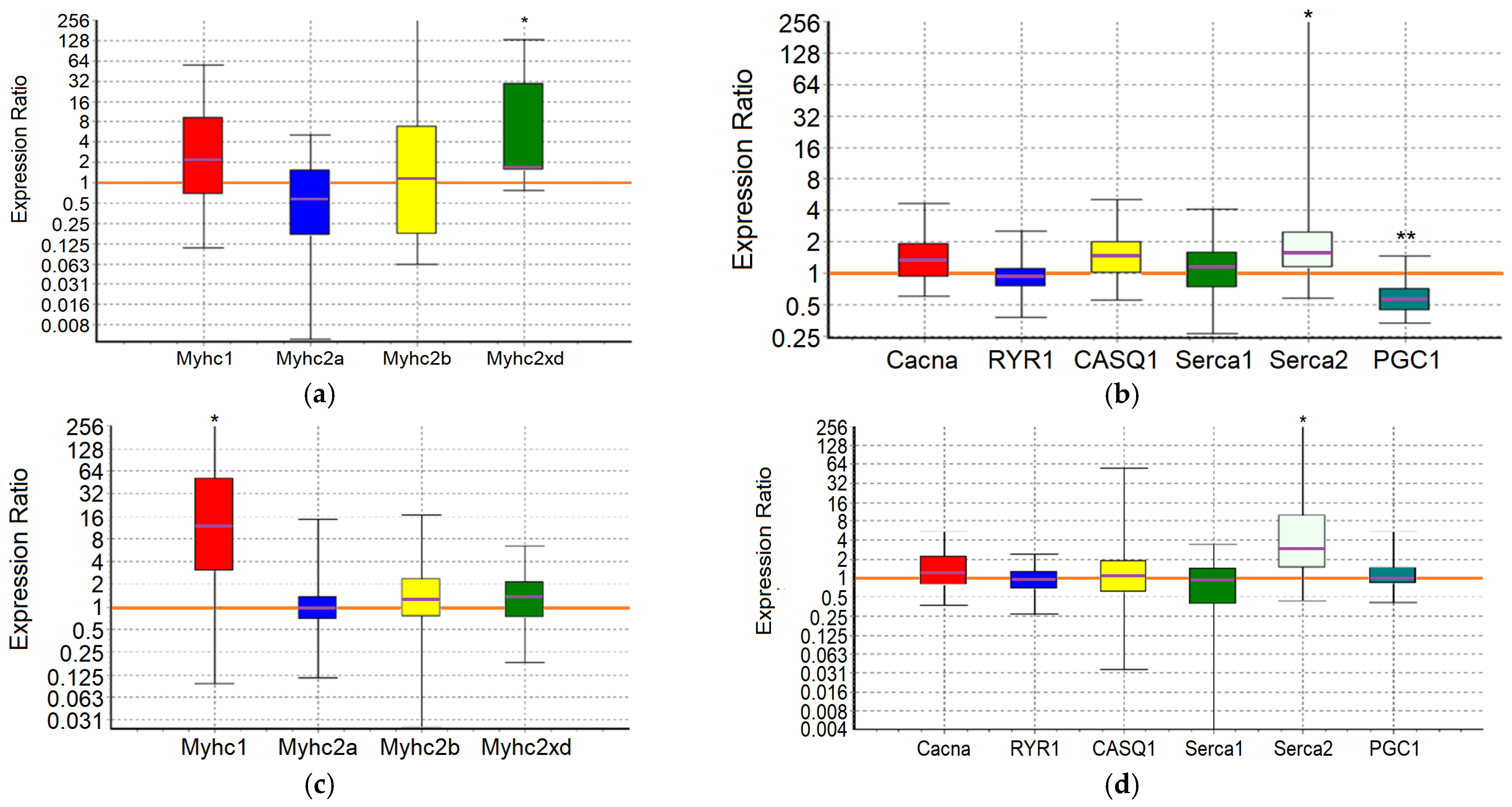 Ijms 25 10438 g006 Ijms 25 10438 g006