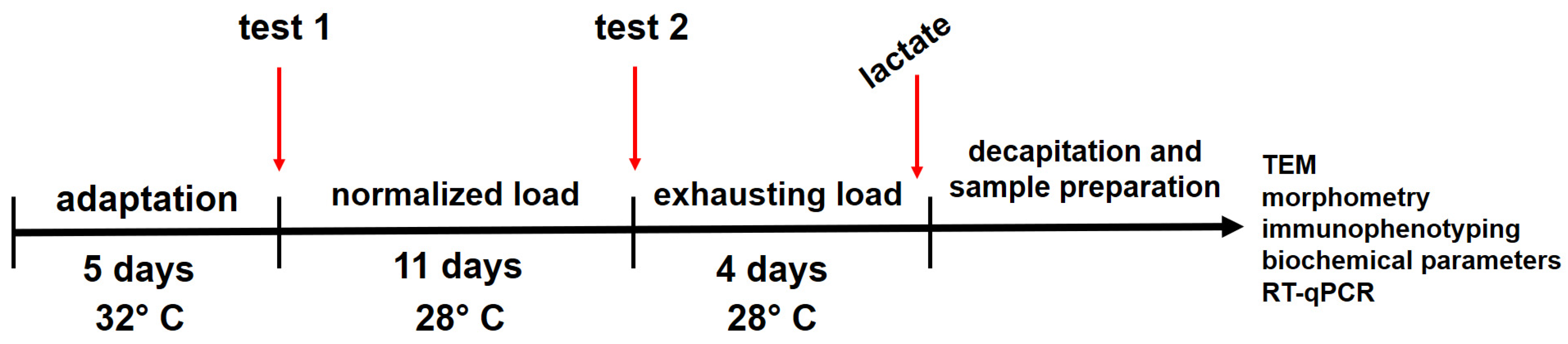 Ijms 25 10438 g009 Ijms 25 10438 g009